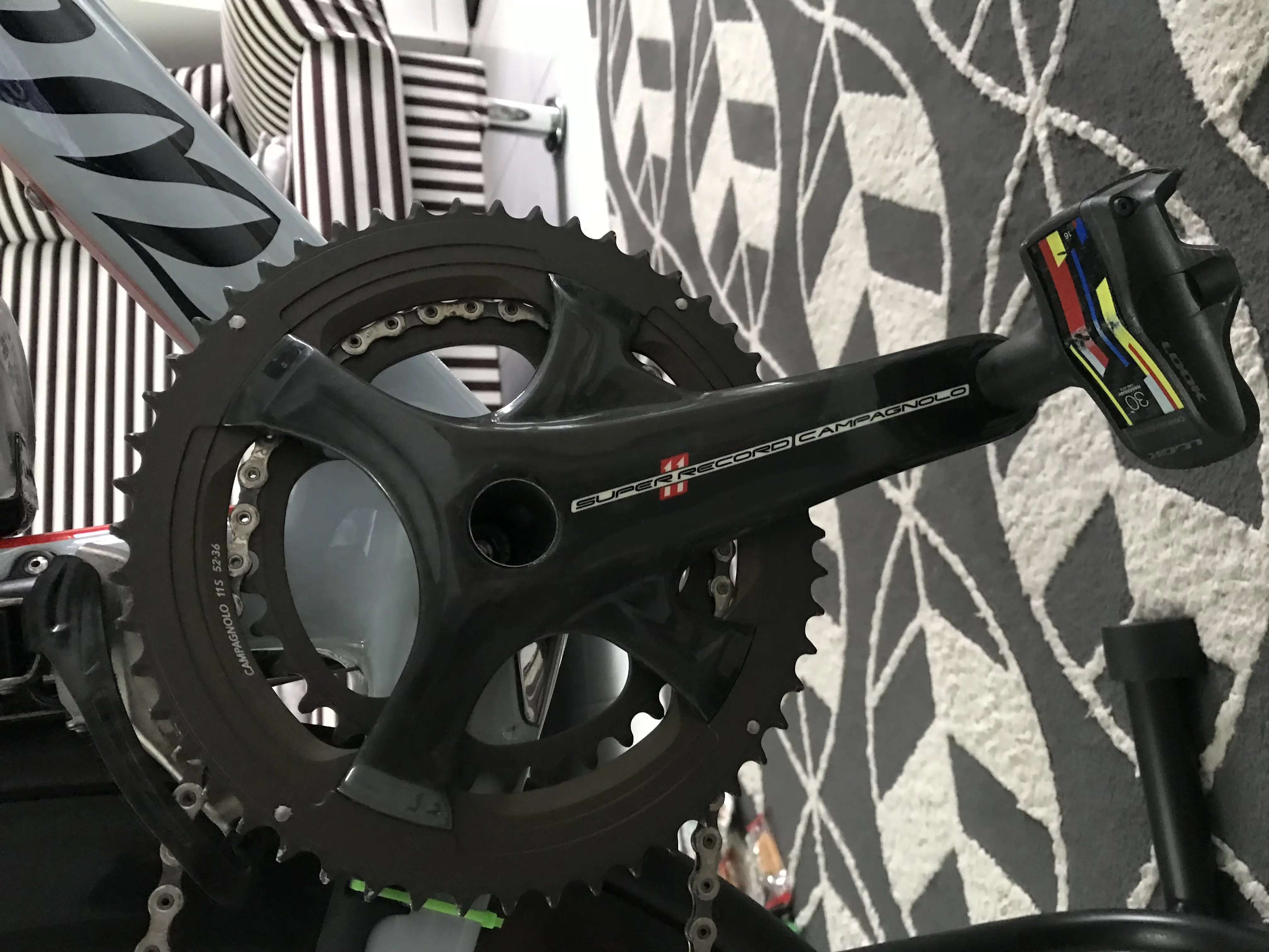 Triestina Wilier saiz 48