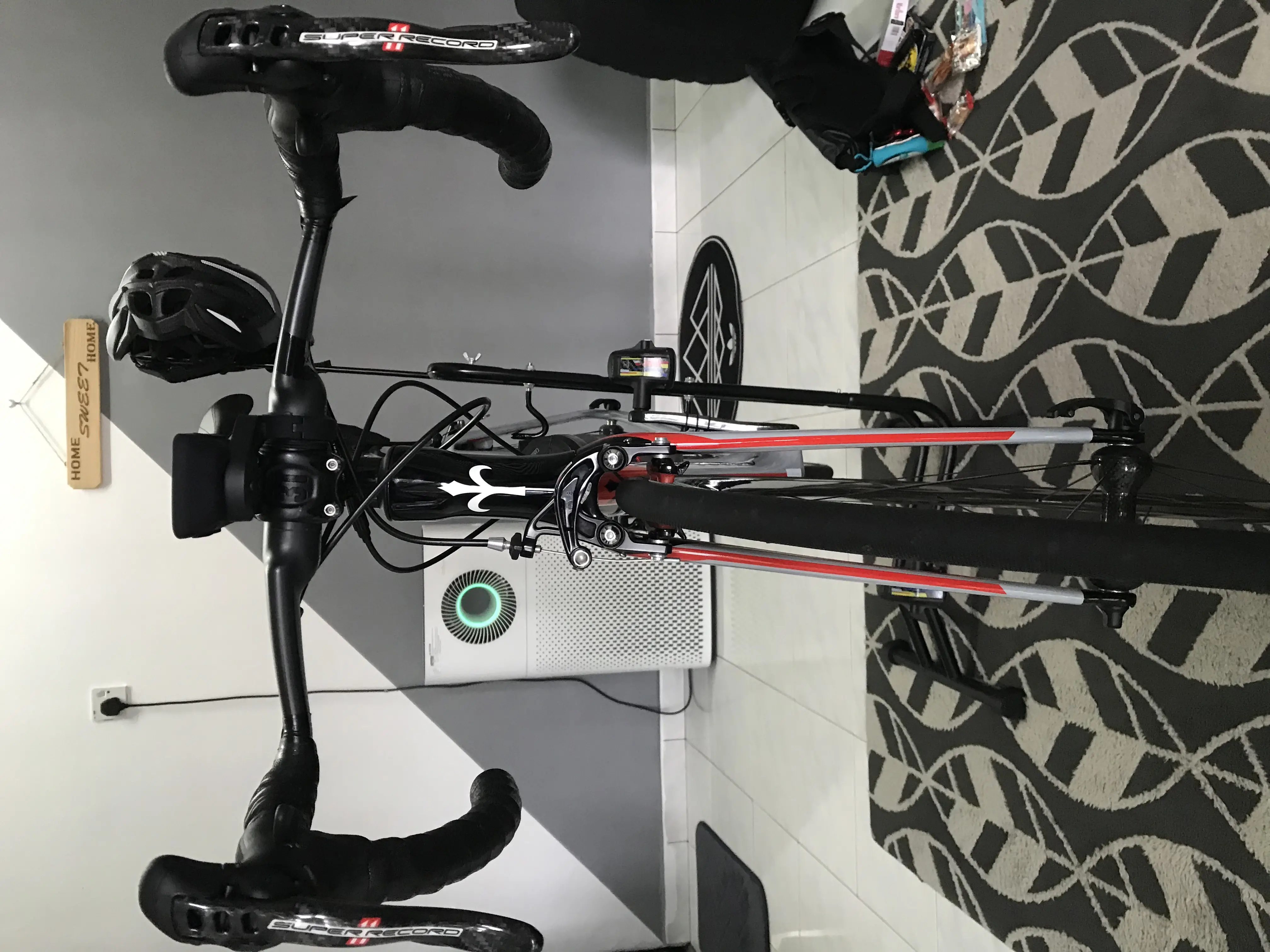 Triestina Wilier saiz 48