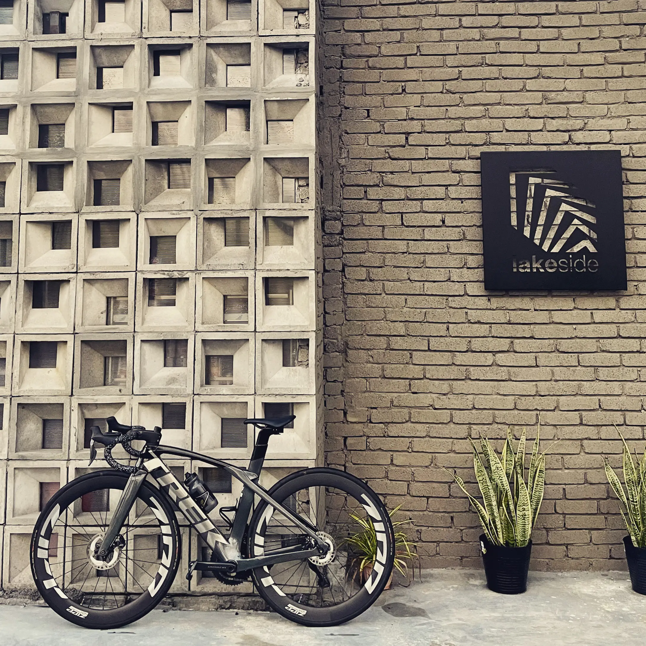 TREK MADONE SLR 2022