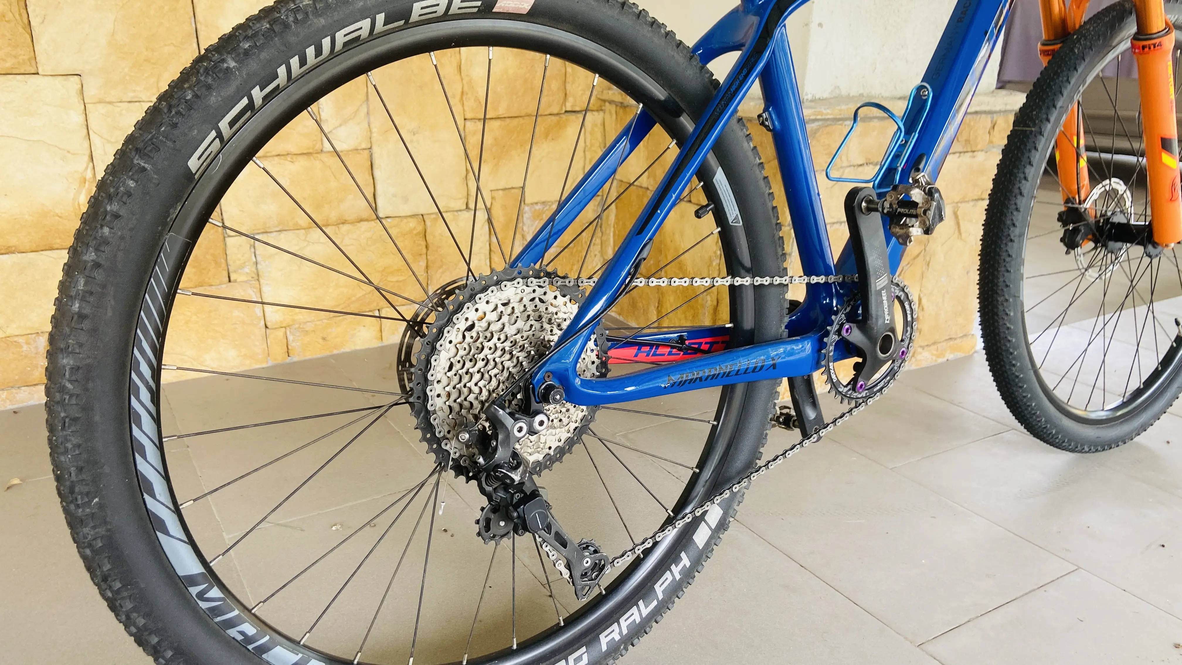 MTB Alcott