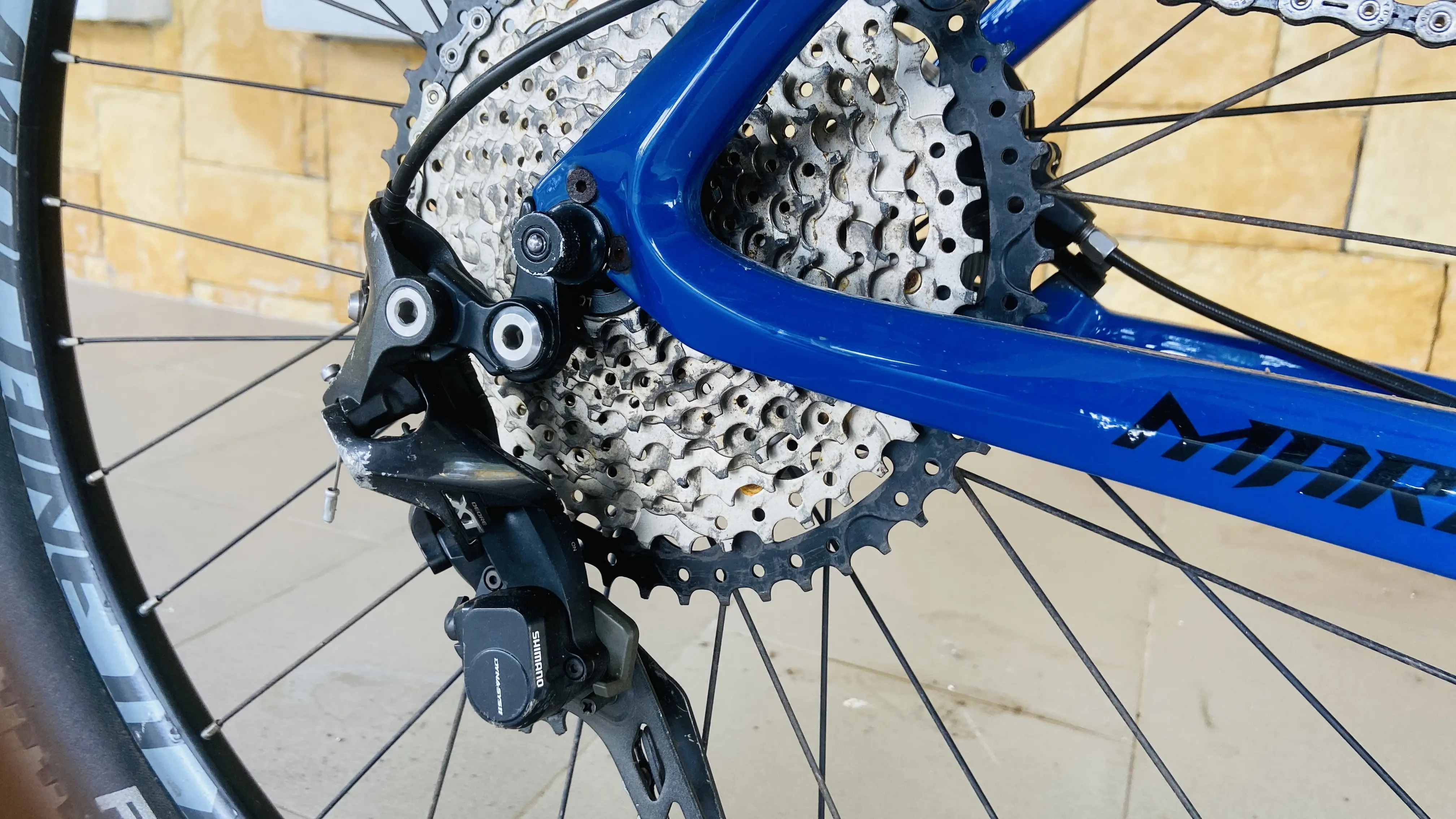 MTB Alcott