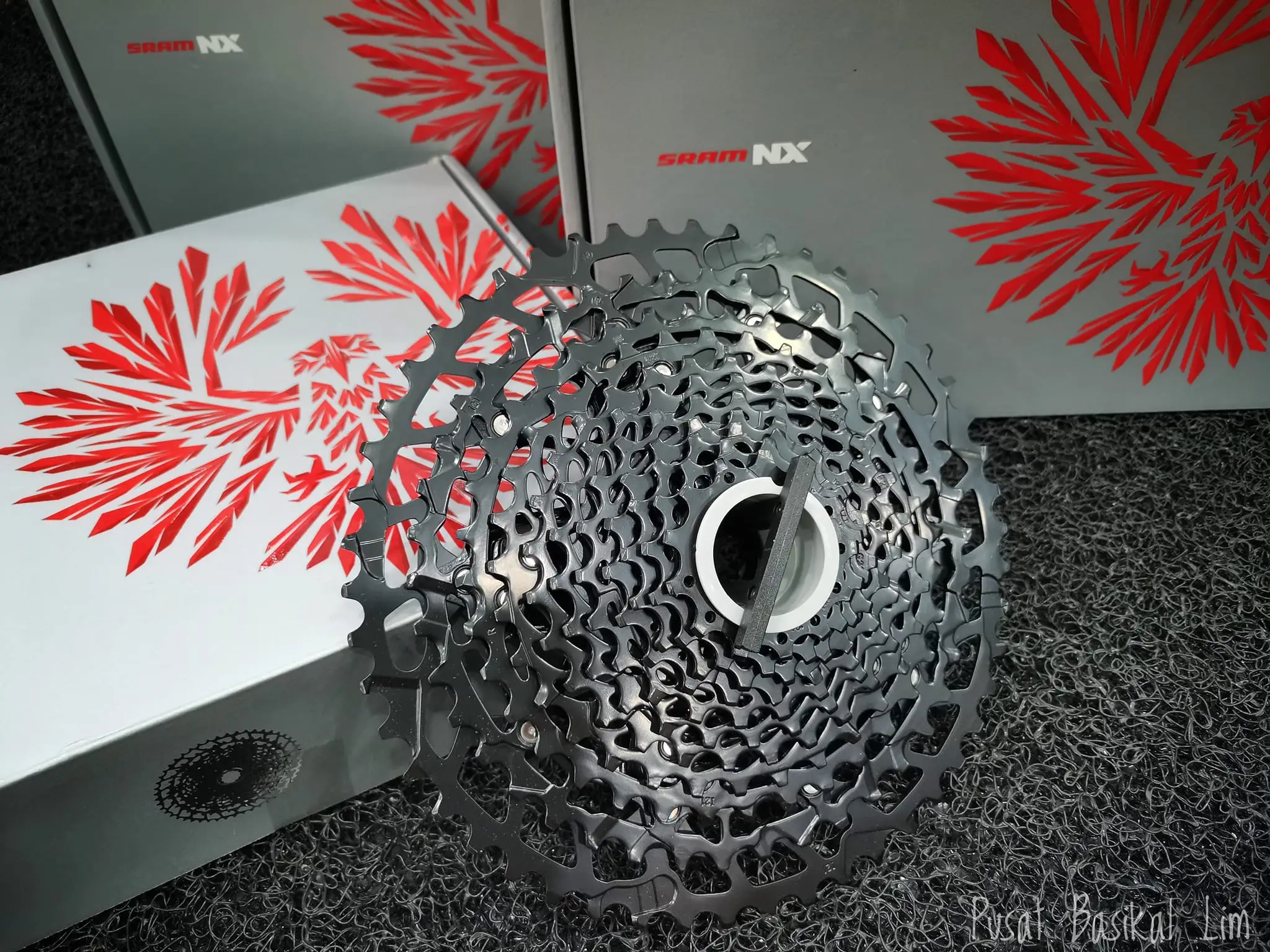 SRAM NX Eagle 11-50T Cassette