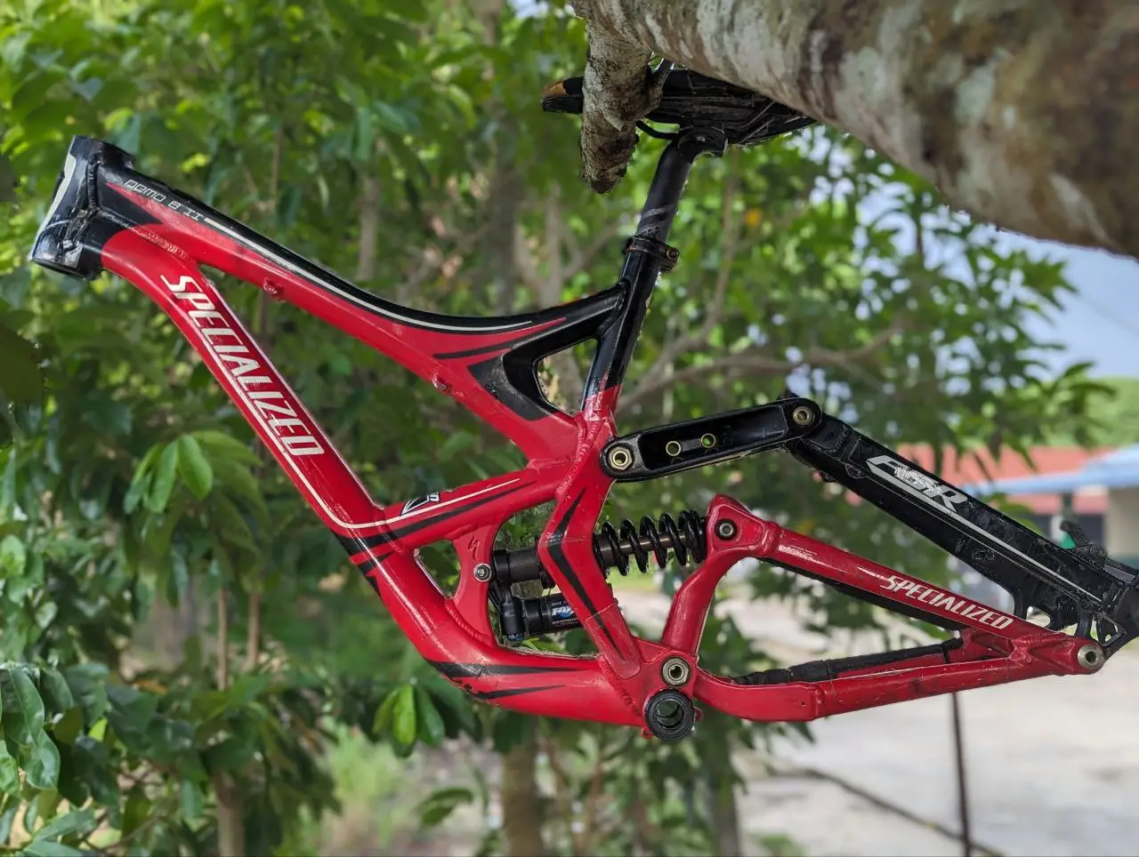 Specialized Demo 8 ii