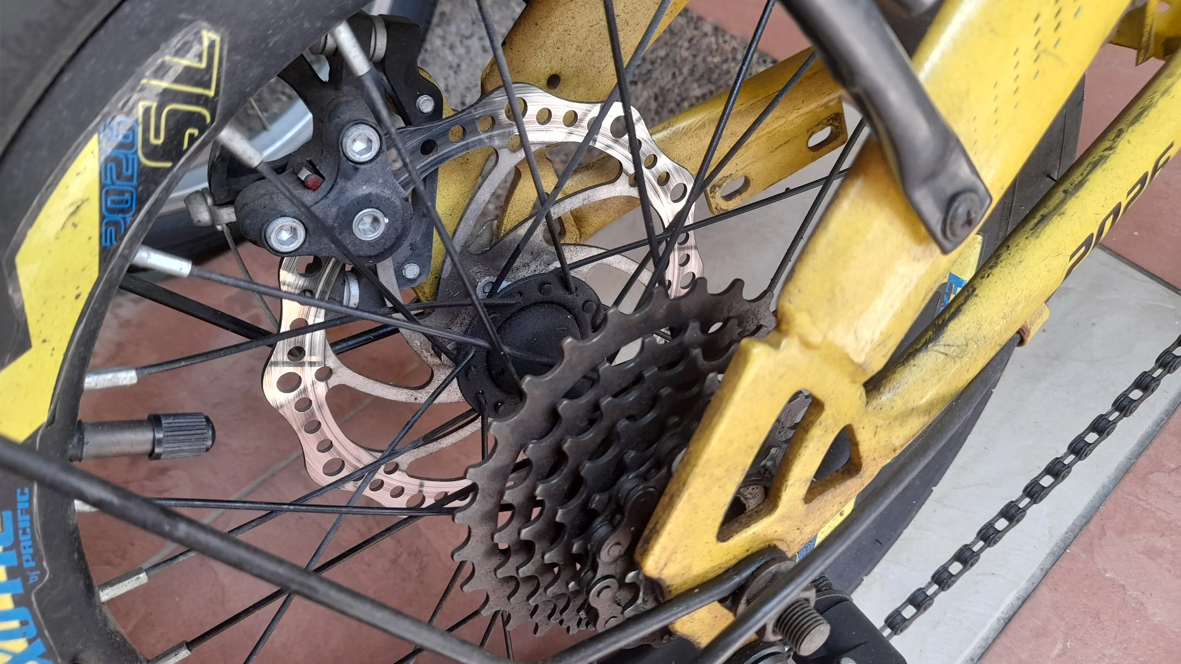 16 inch Pacific Exotic Folding Bike