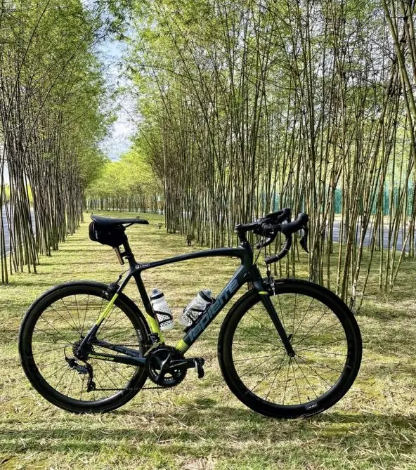 Lapierre Sensium  600