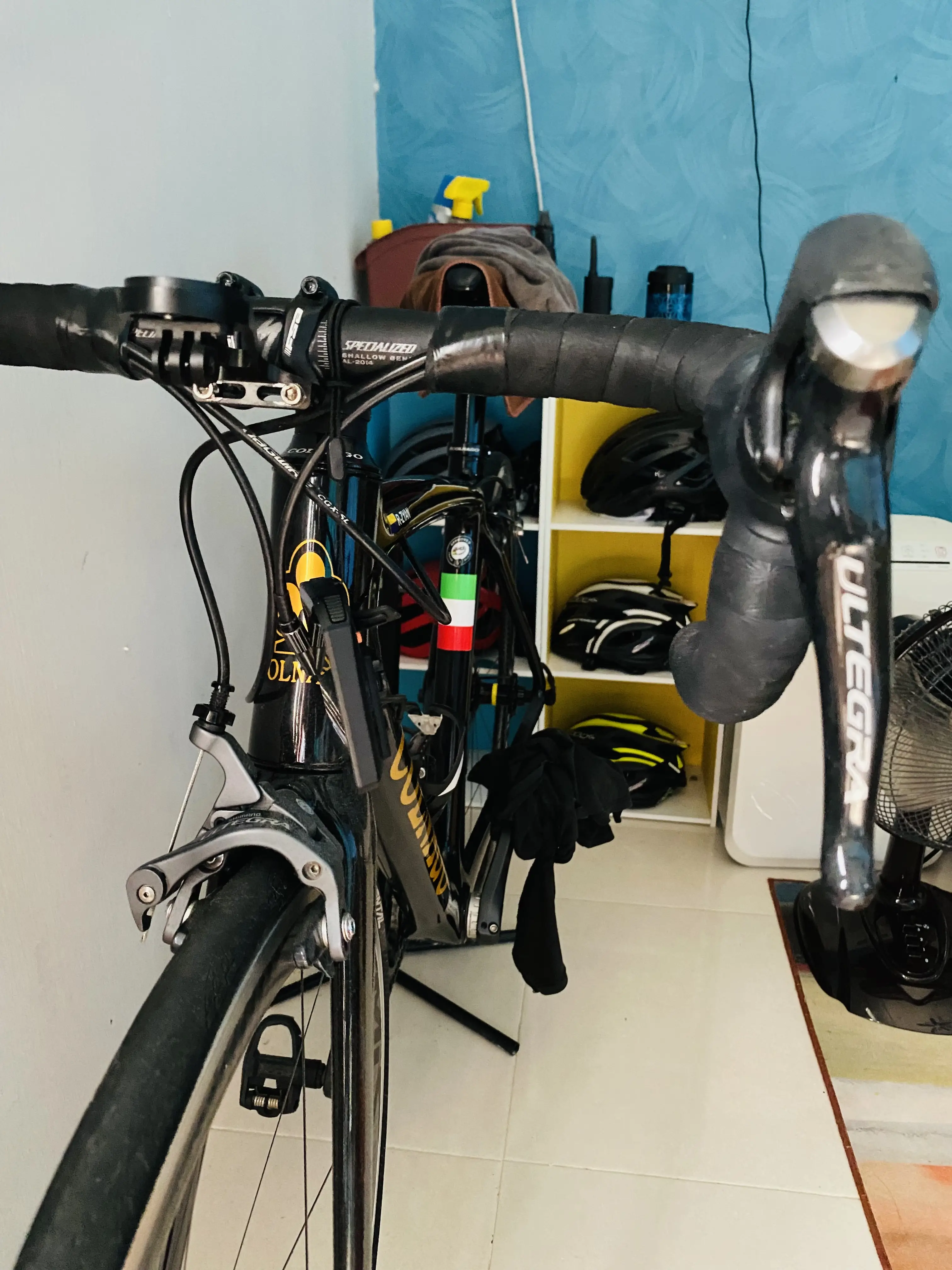 Colnago CLD Team Edition Ultegra (For Ladies)