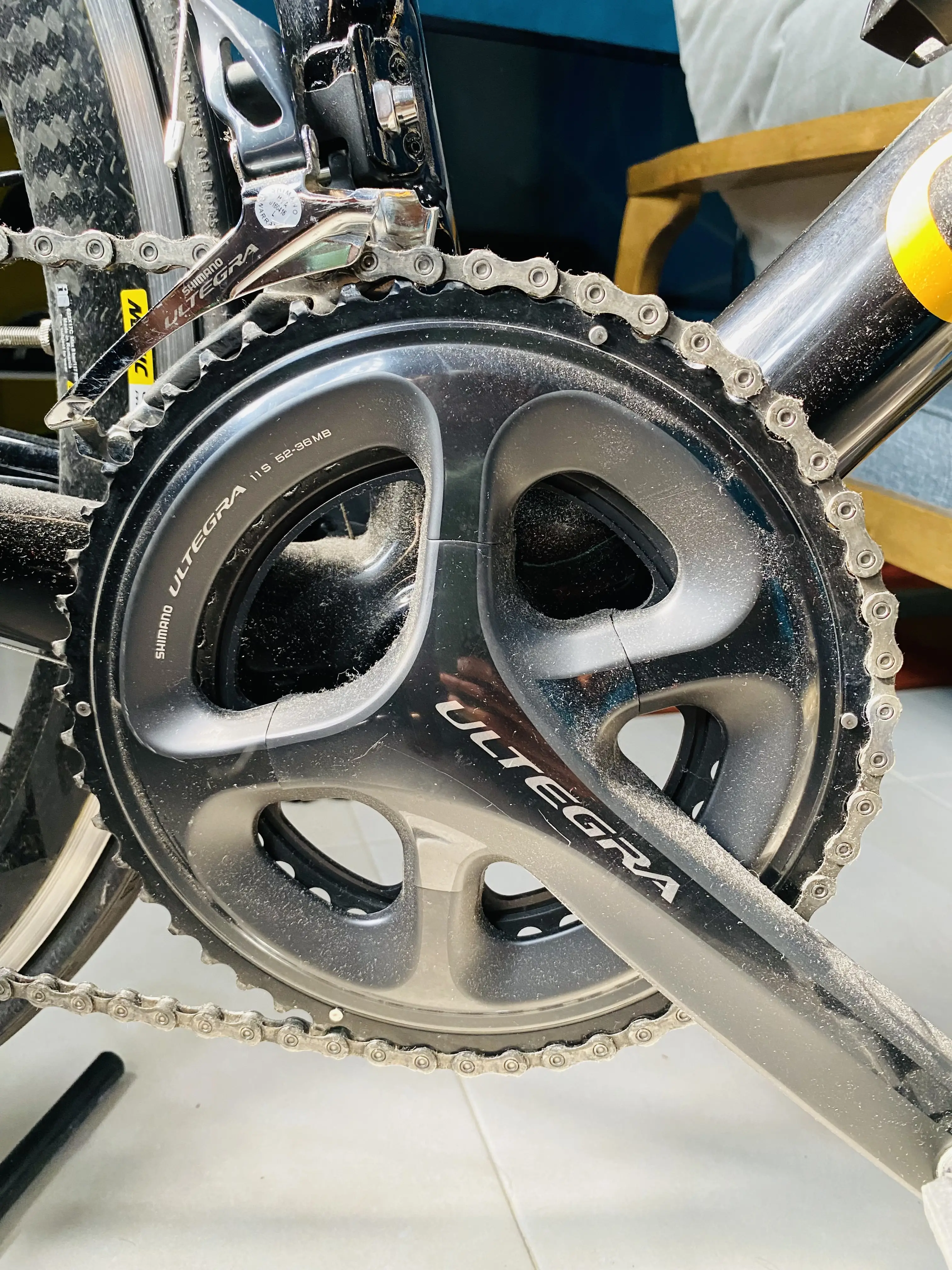 Colnago CLD Team Edition Ultegra (For Ladies)