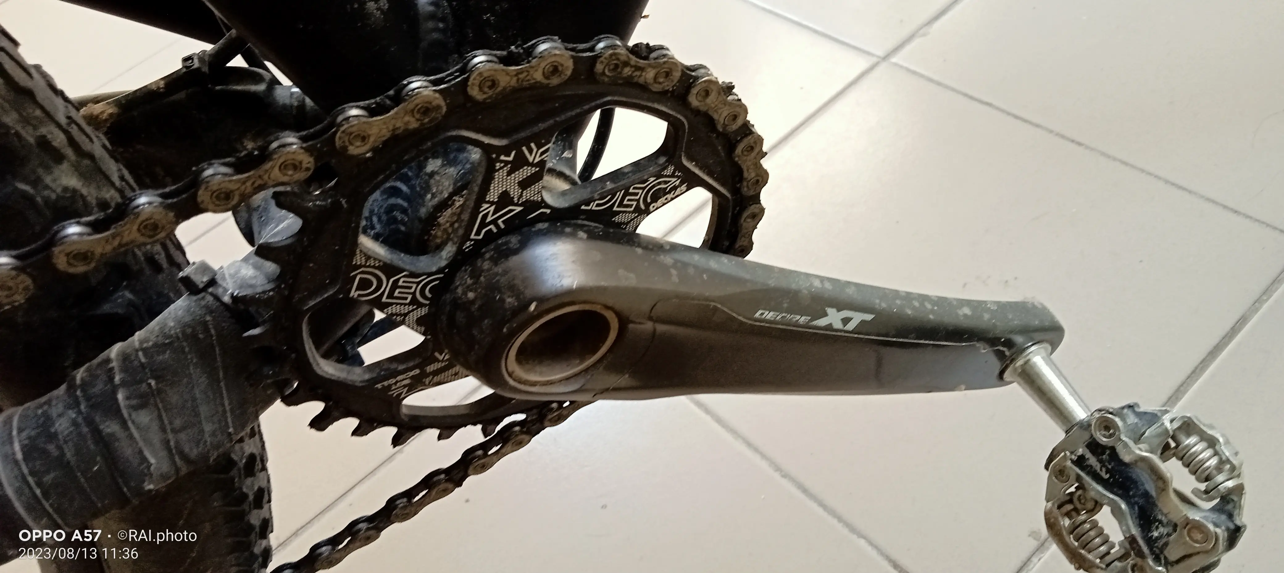 Marin BobCat3