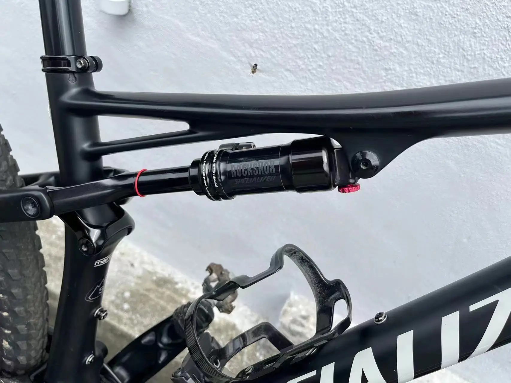 Specialized Epic Expert Carbon EVO 2020