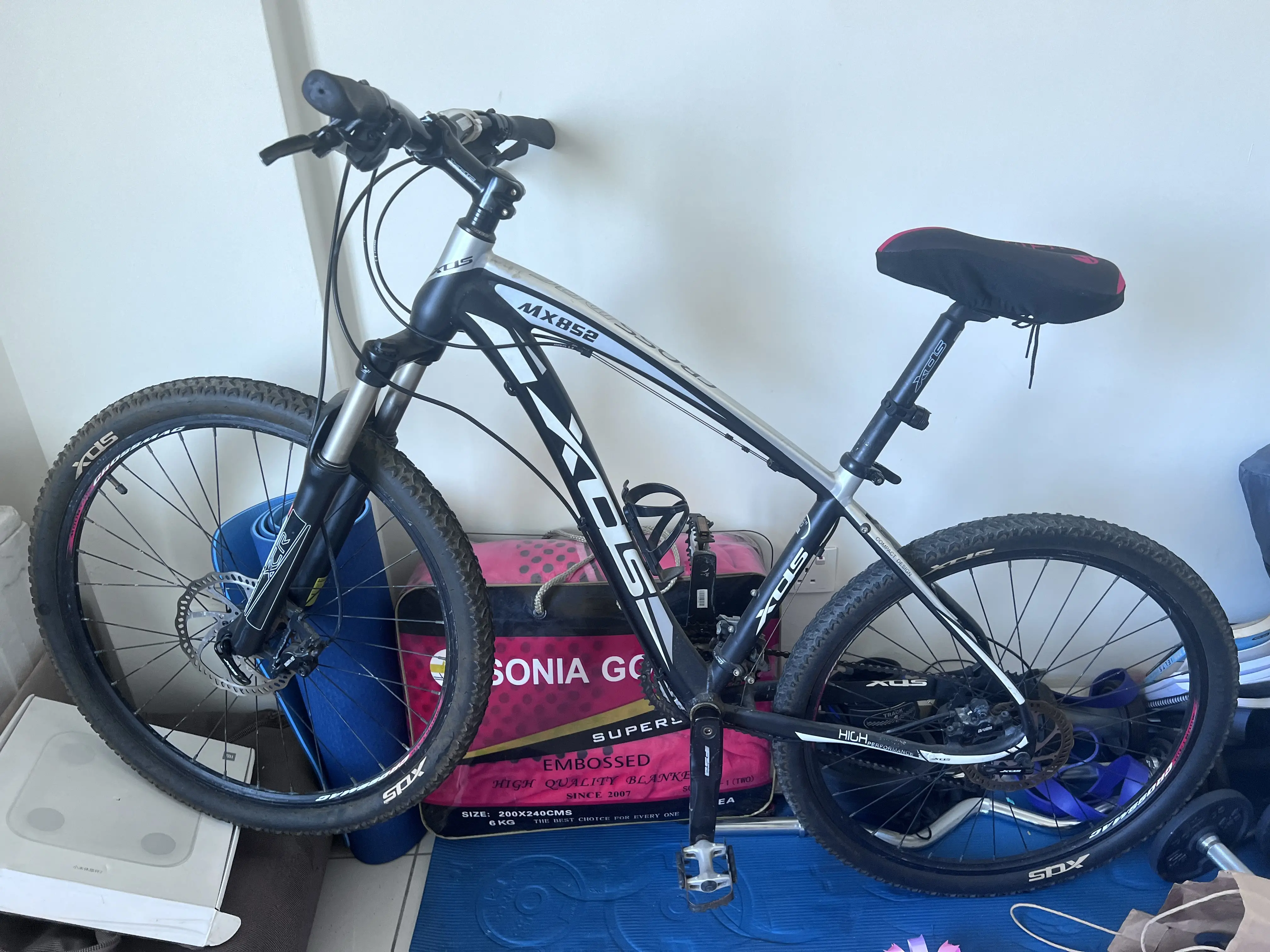 Mountain bike