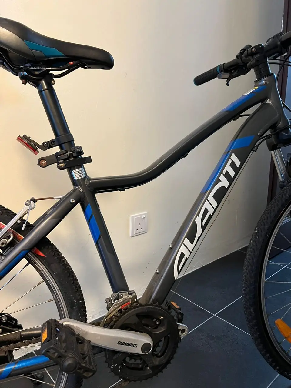 [USED] AVANTI Mountainbike for sale - Hardly used