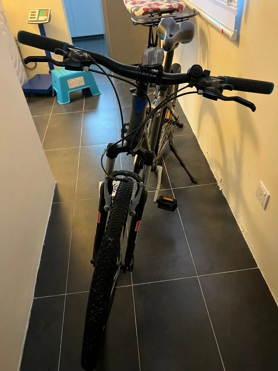 [USED] AVANTI Mountainbike for sale - Hardly used