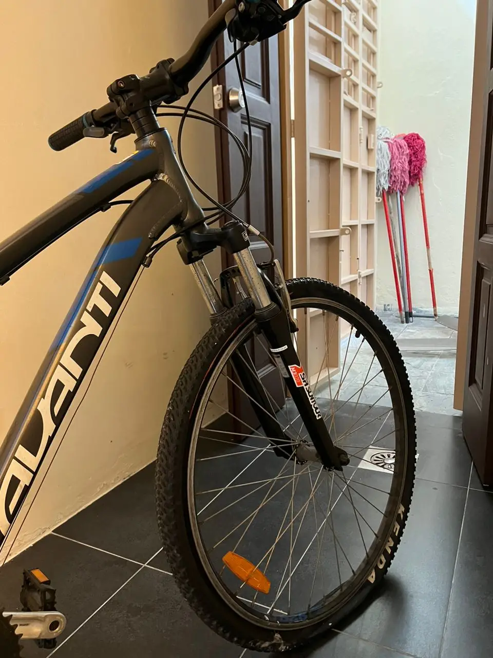 [USED] AVANTI Mountainbike for sale - Hardly used