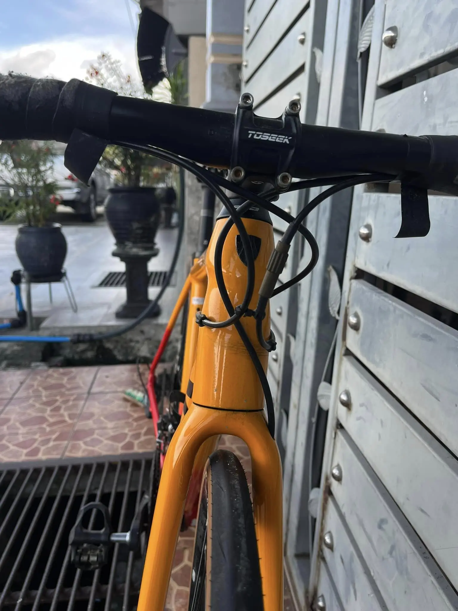 Trek Emonda ALR ( Roadbike)