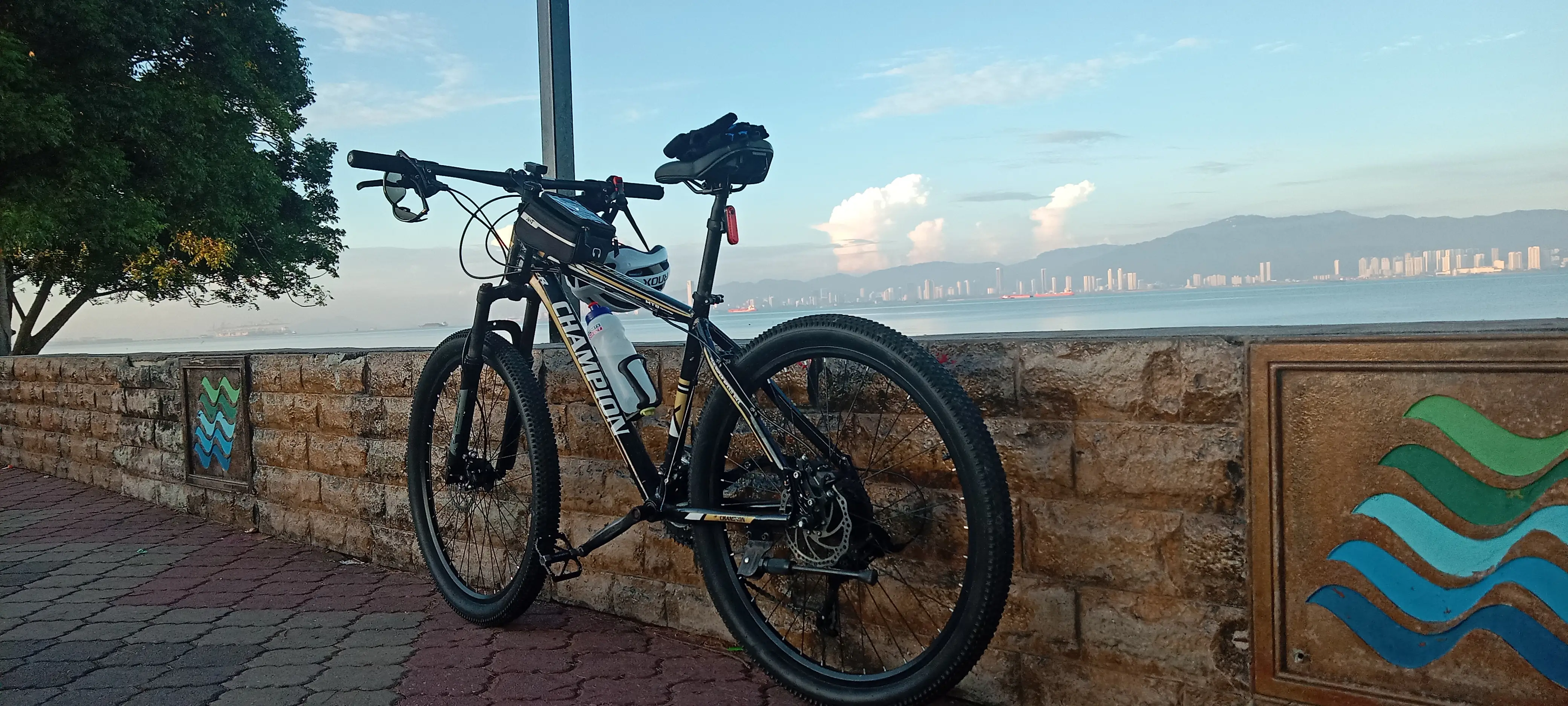 Champion Mountain Bike MTB