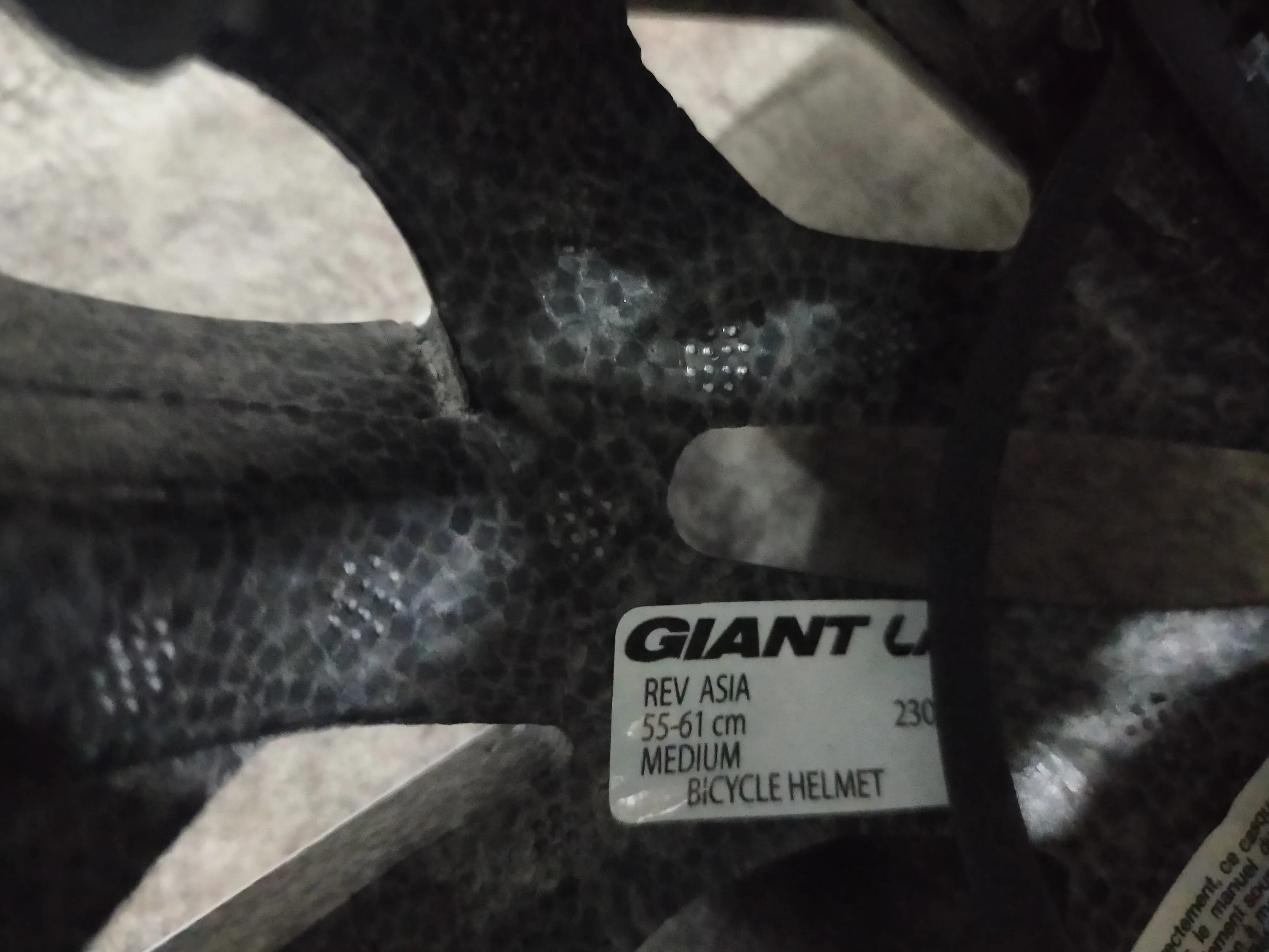 Team Giant Sunweb Helmet