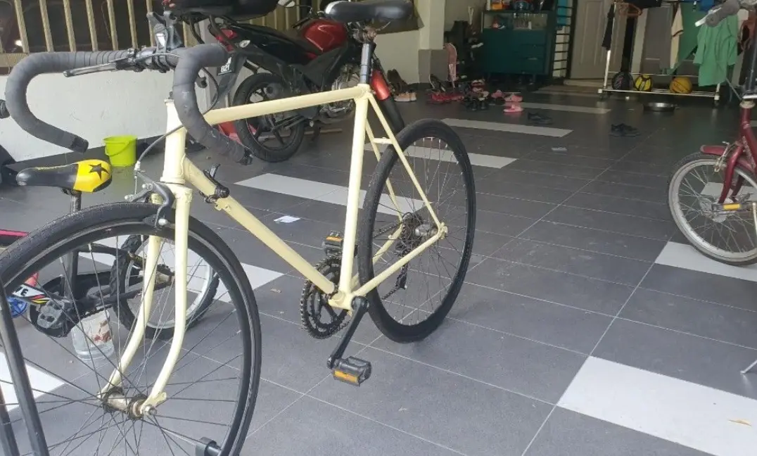 Vintage Raleigh Malaysia