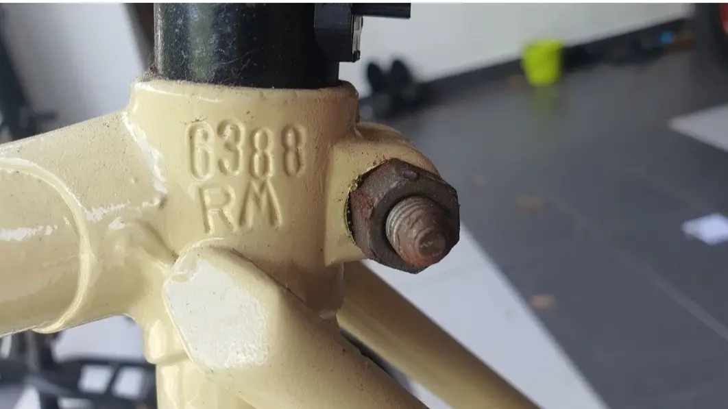 Vintage Raleigh Malaysia