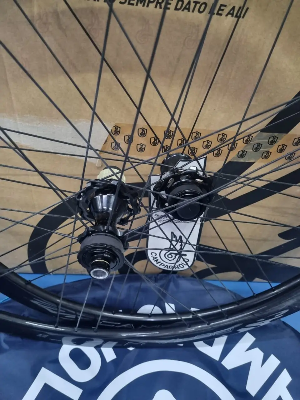 Campagnolo Bora WTO 33 DB Clincher (33mm) Brand New !!