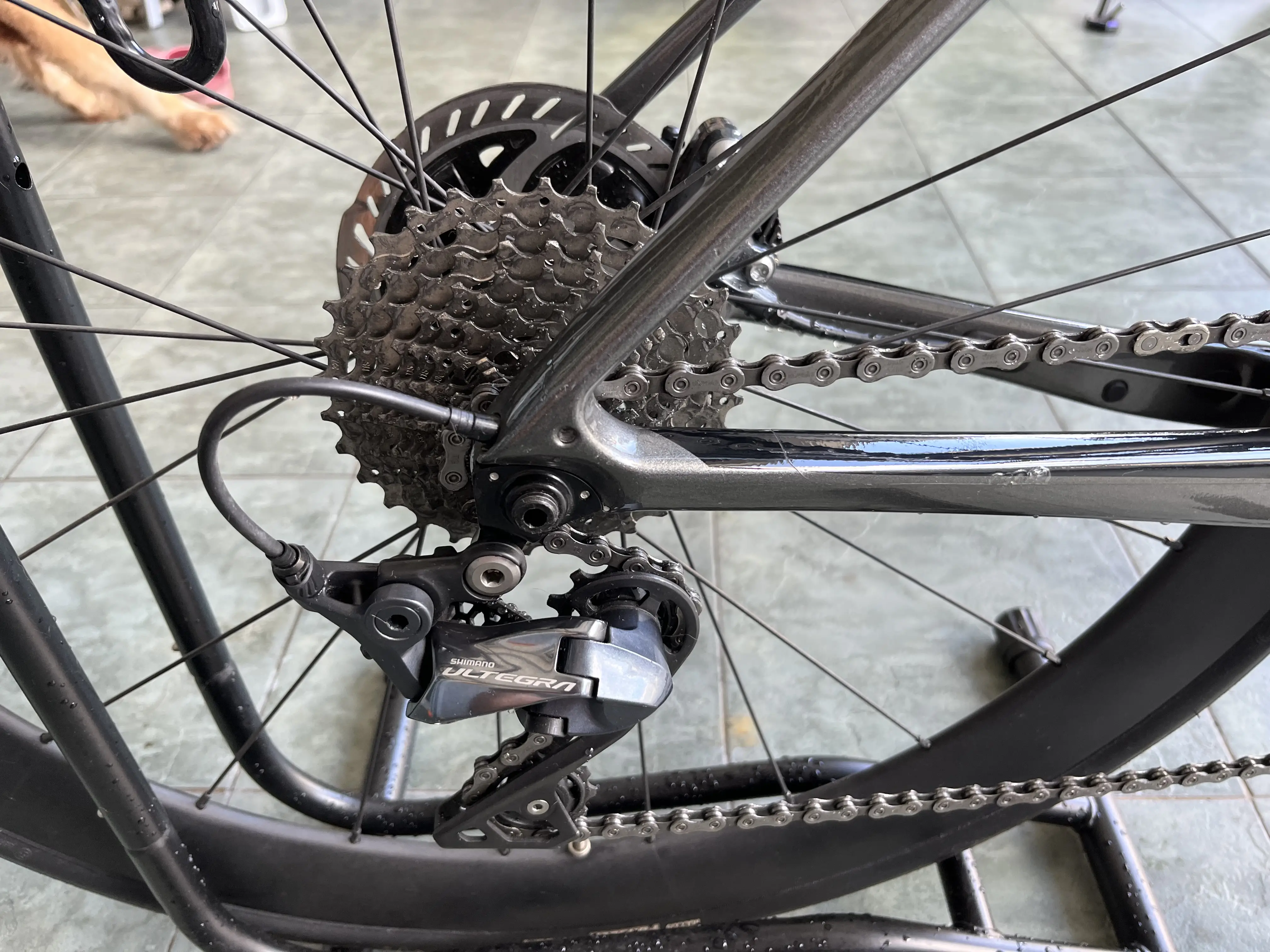 Giant Defy
