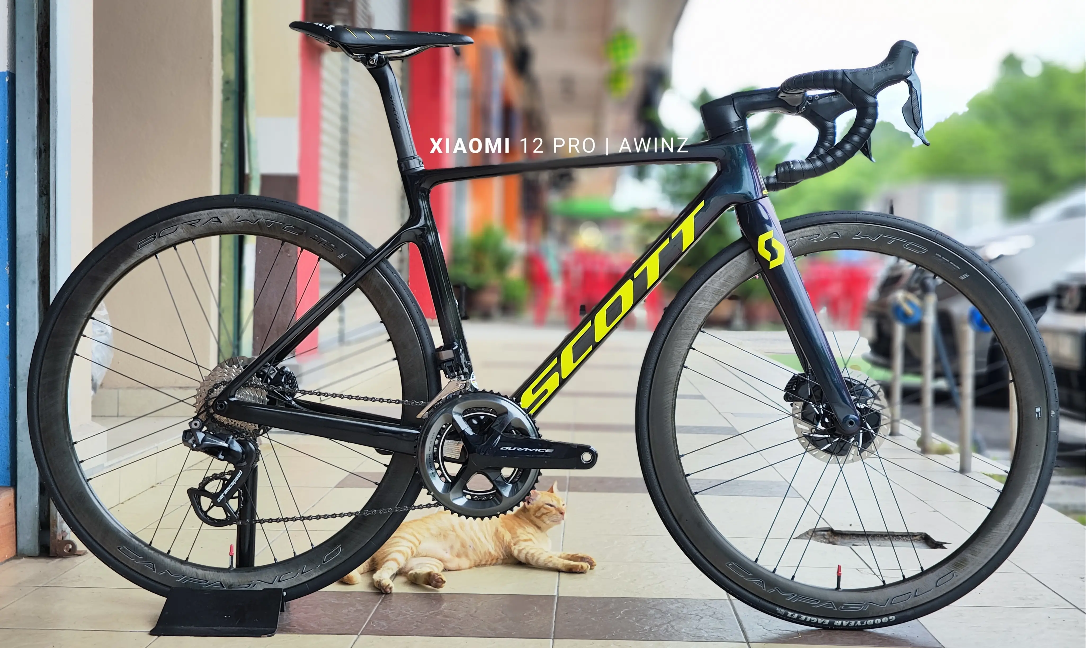 SCOTT ADDICT RC PRO