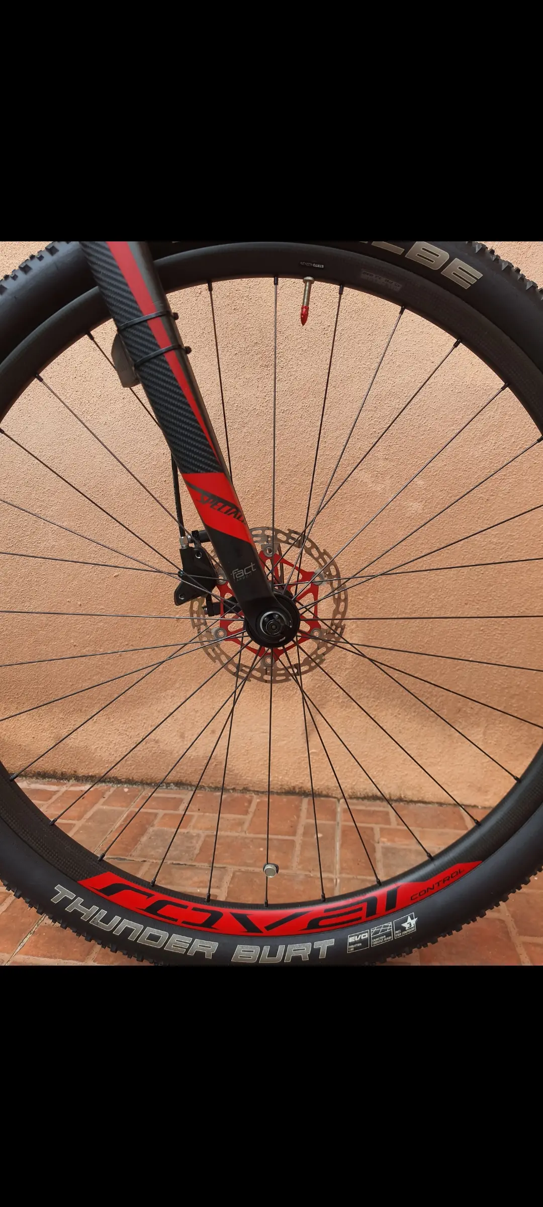 'Specialized' Stumpjumper Marathon Carbon 29er HT
