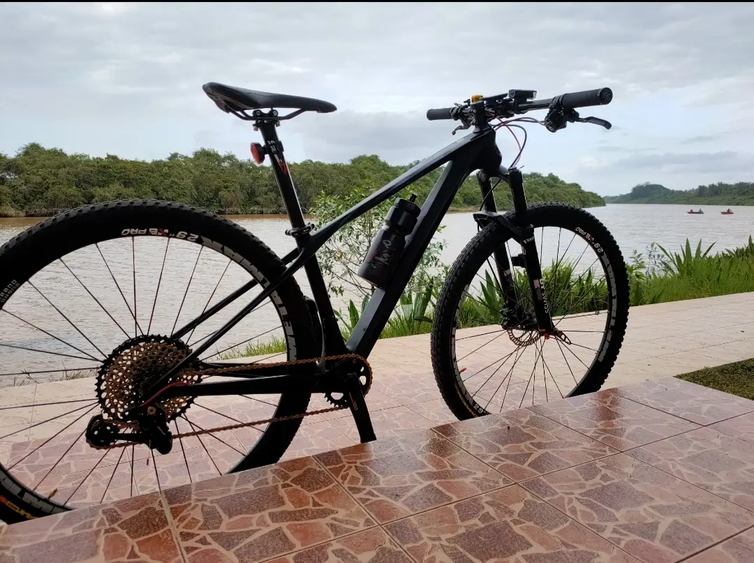 GHOST HECTOR CARBON 29