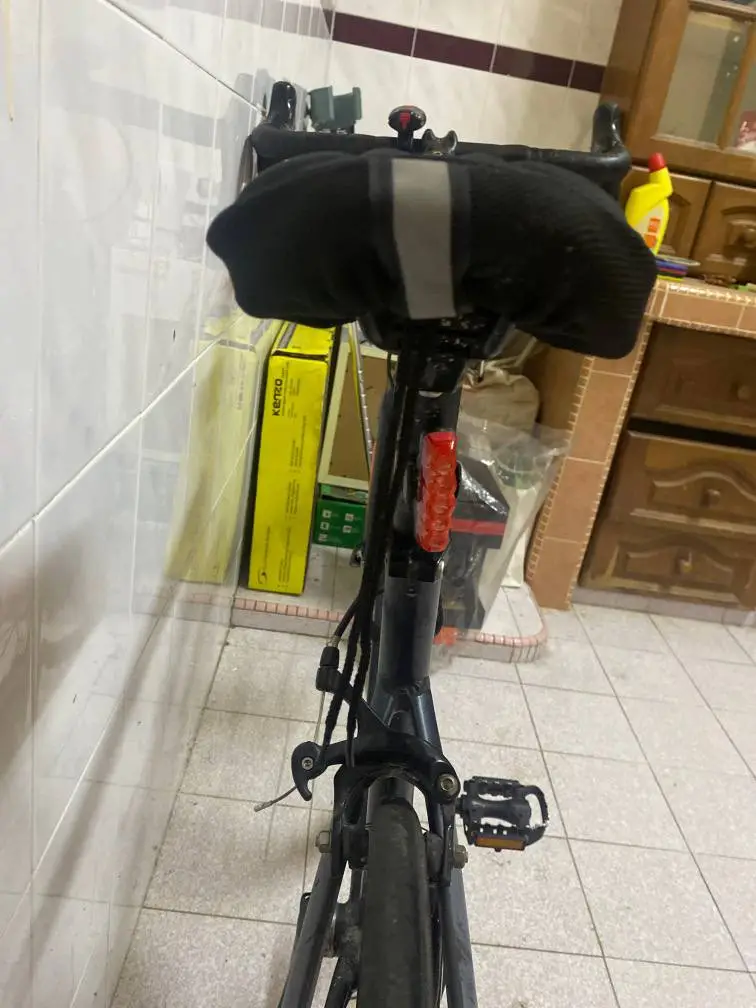Raleigh Sojourn for sell