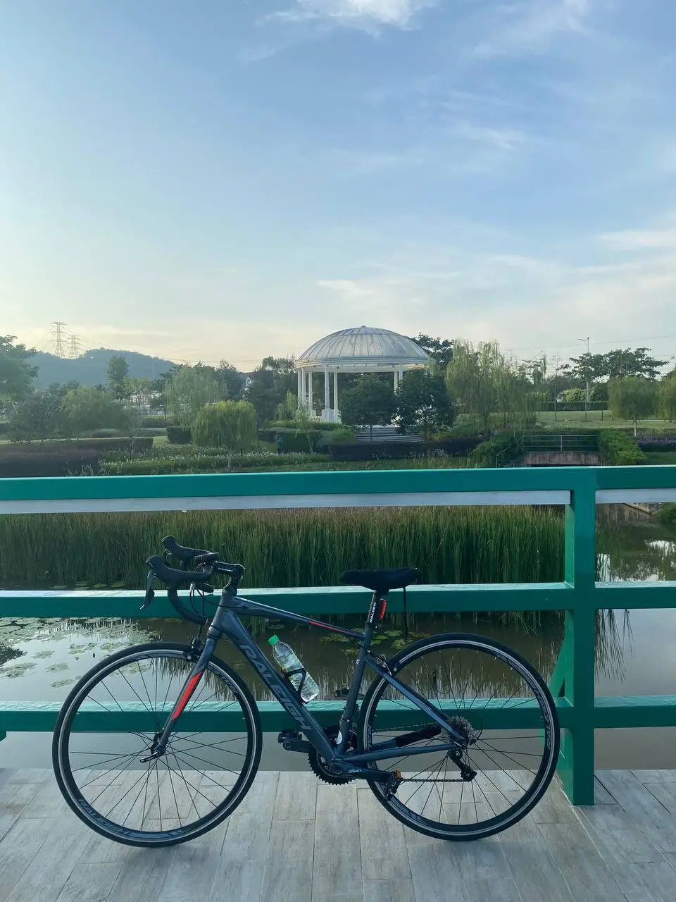 Raleigh Sojourn for sell