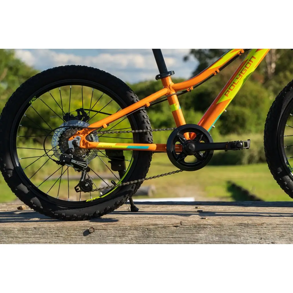 MTB Polygon Relic 20 Inch Kids