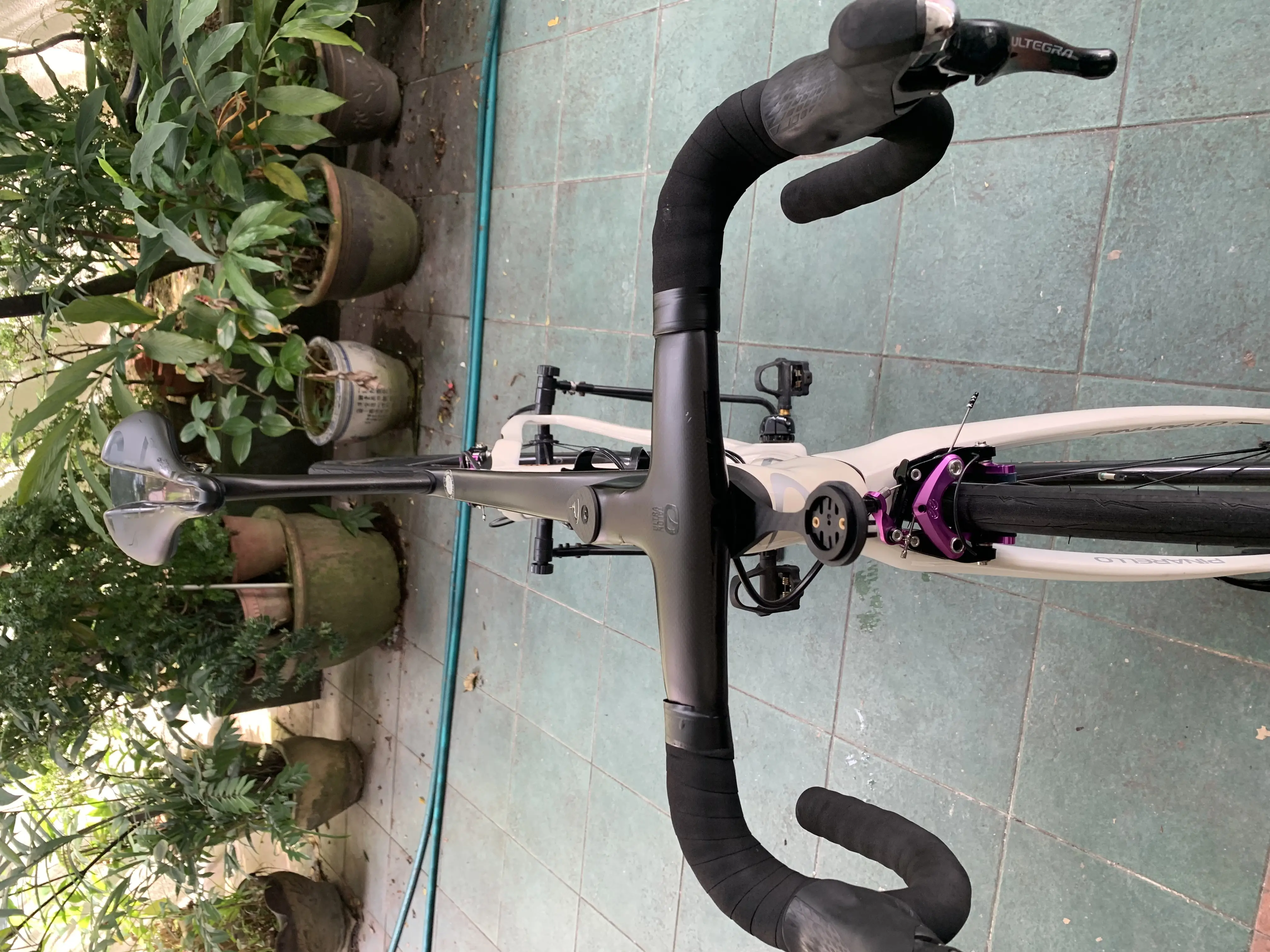 Pinarello Dogma F12 complete bike