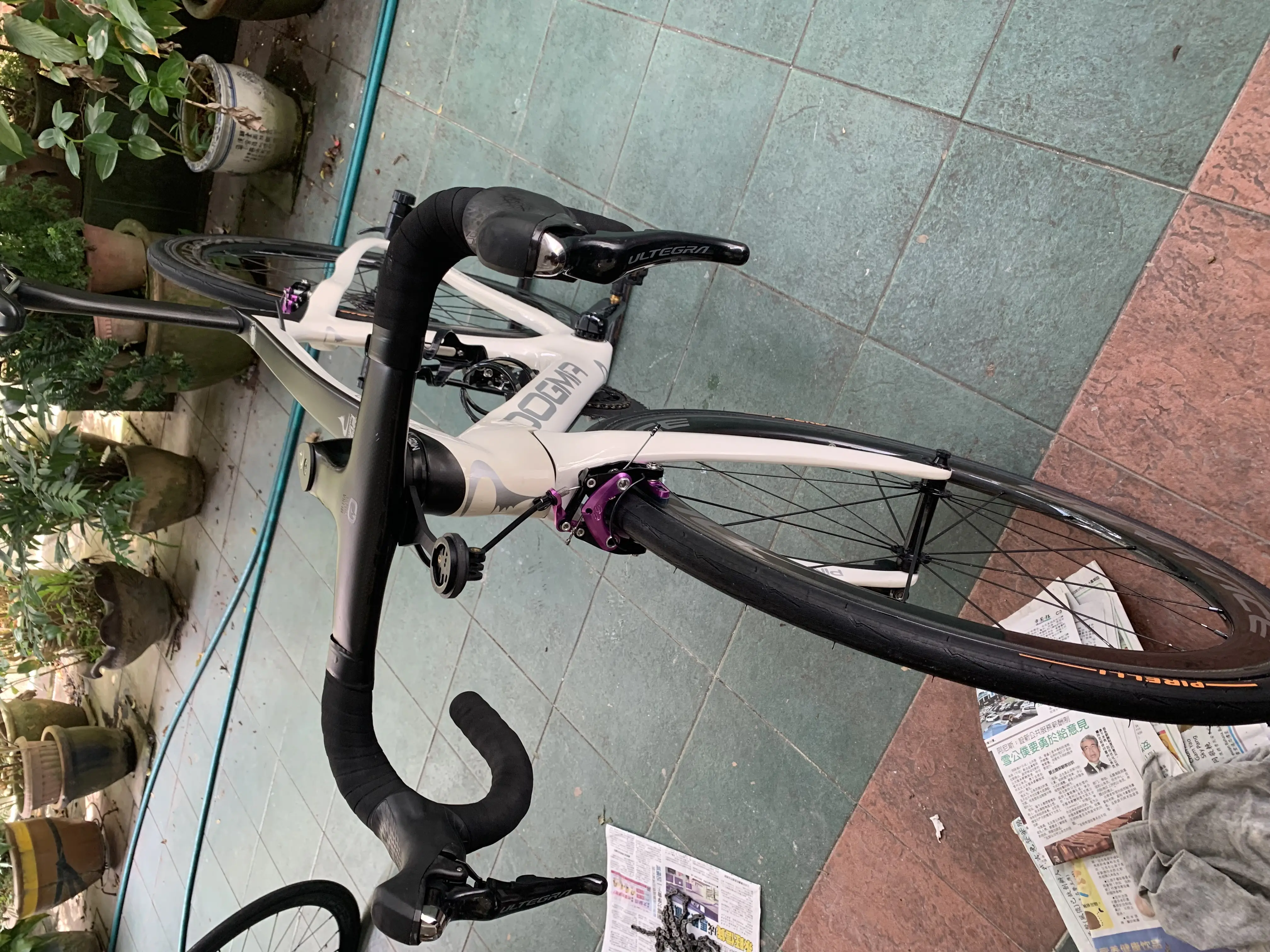 Pinarello Dogma F12 complete bike