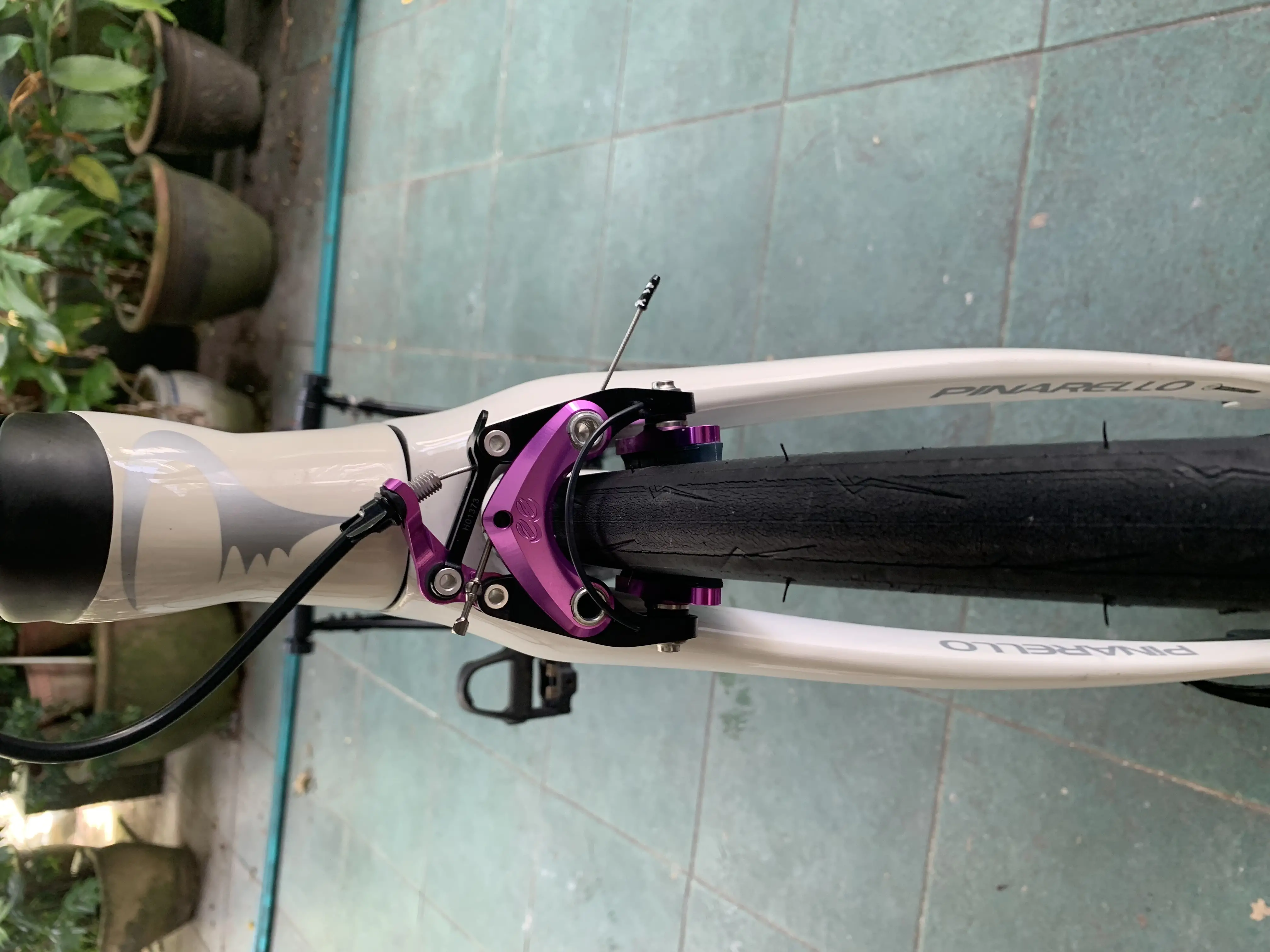 Pinarello Dogma F12 complete bike