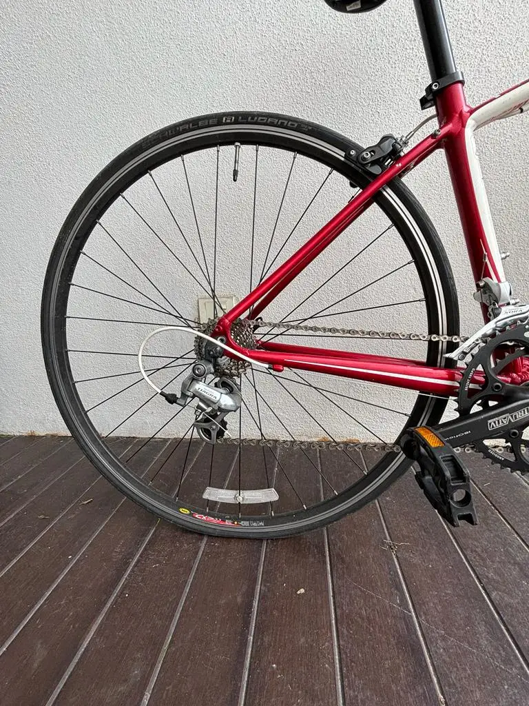 2011 Specialized Dolce Sport (Women's Road Bike) + FREE VERTICAL BIKE RACK