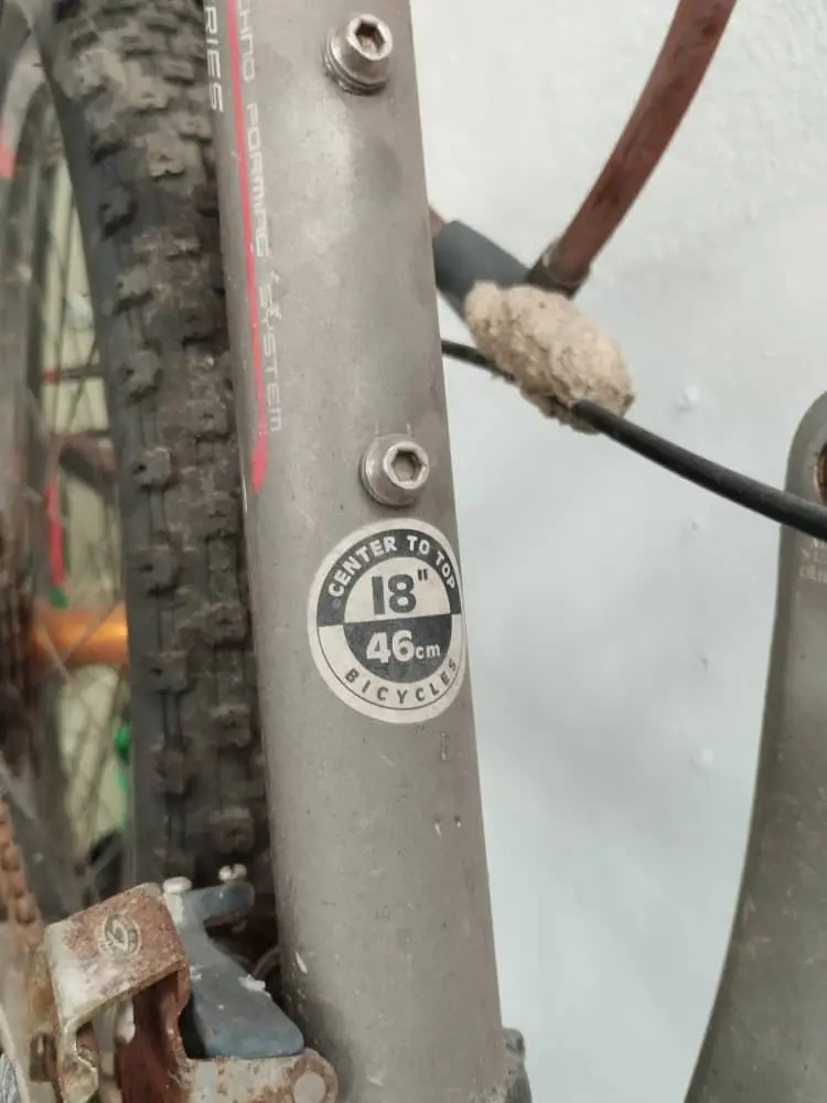 giant mtb L 18"