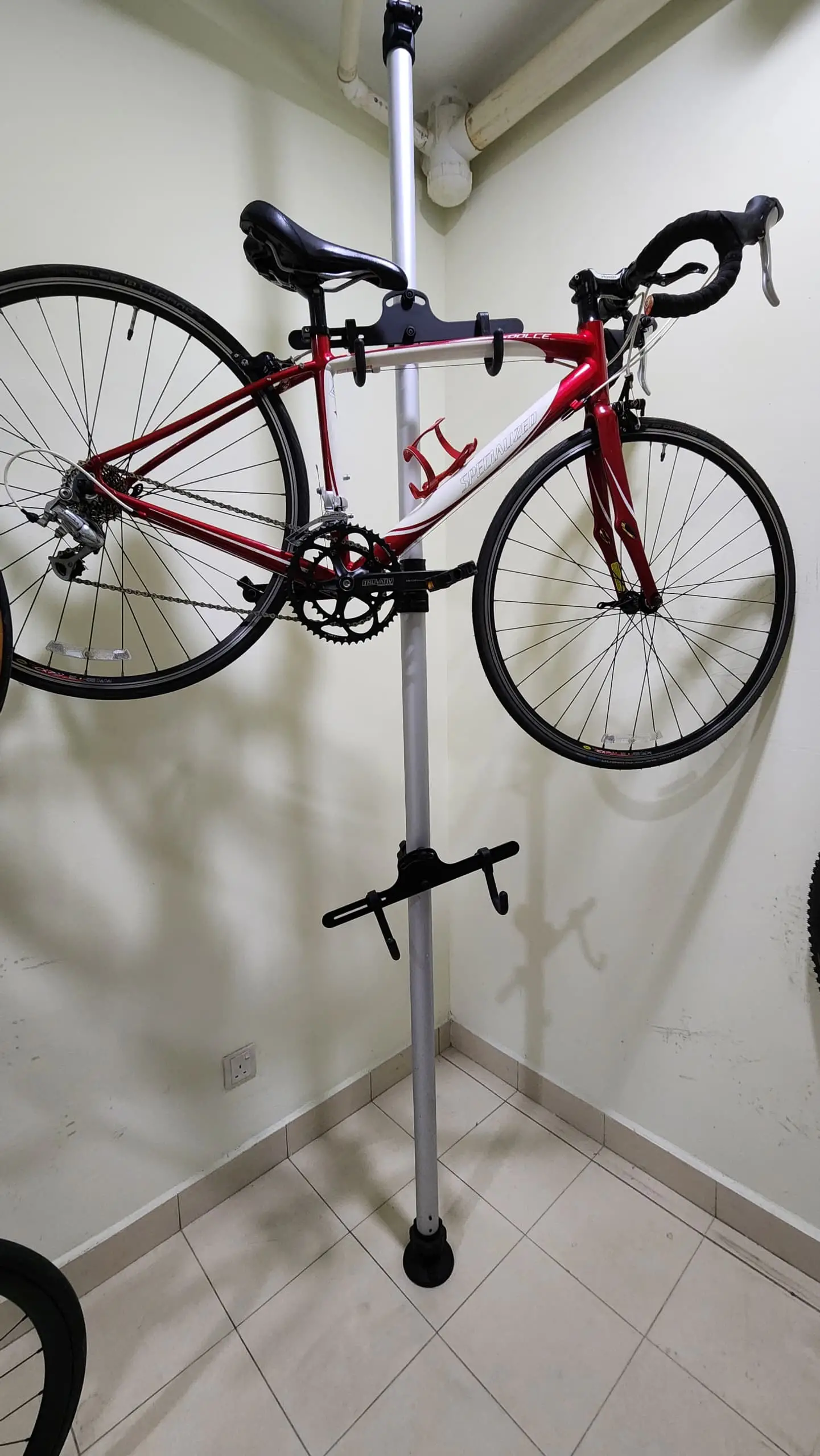 2011 Specialized Dolce Sport (Women's Road Bike) + FREE VERTICAL BIKE RACK