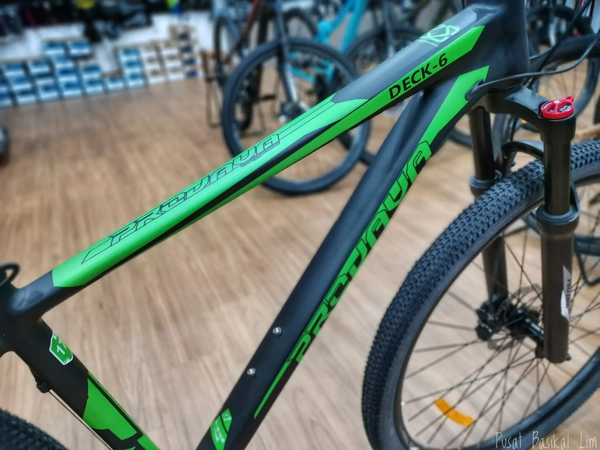 Projava Fuga-9 29 MTB....