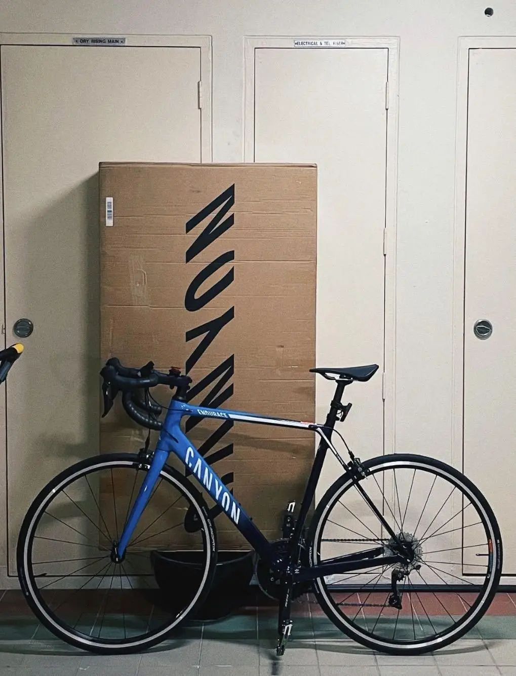 Canyon Endurace CF 8