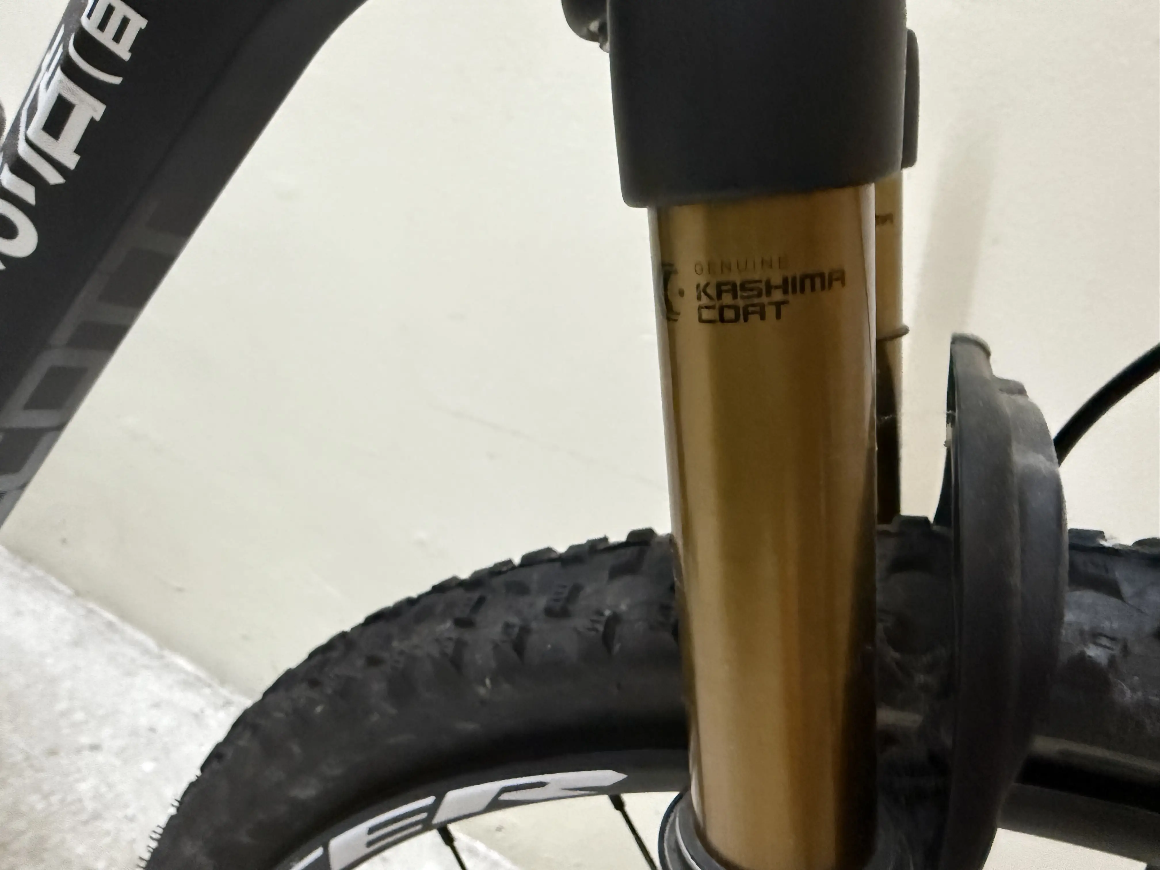 ALCOTT CARBON WITH FOX KASHINA (L SIZE)