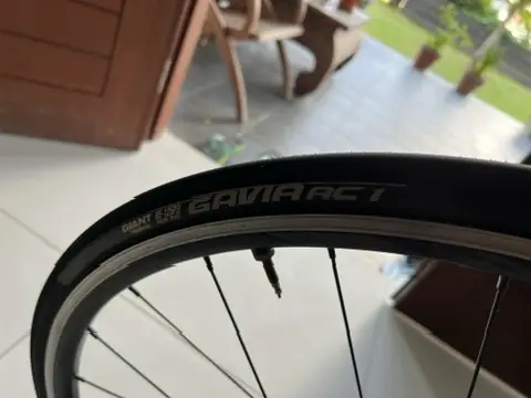 Giant TCR SL 1 2021 Aluminium rim brake