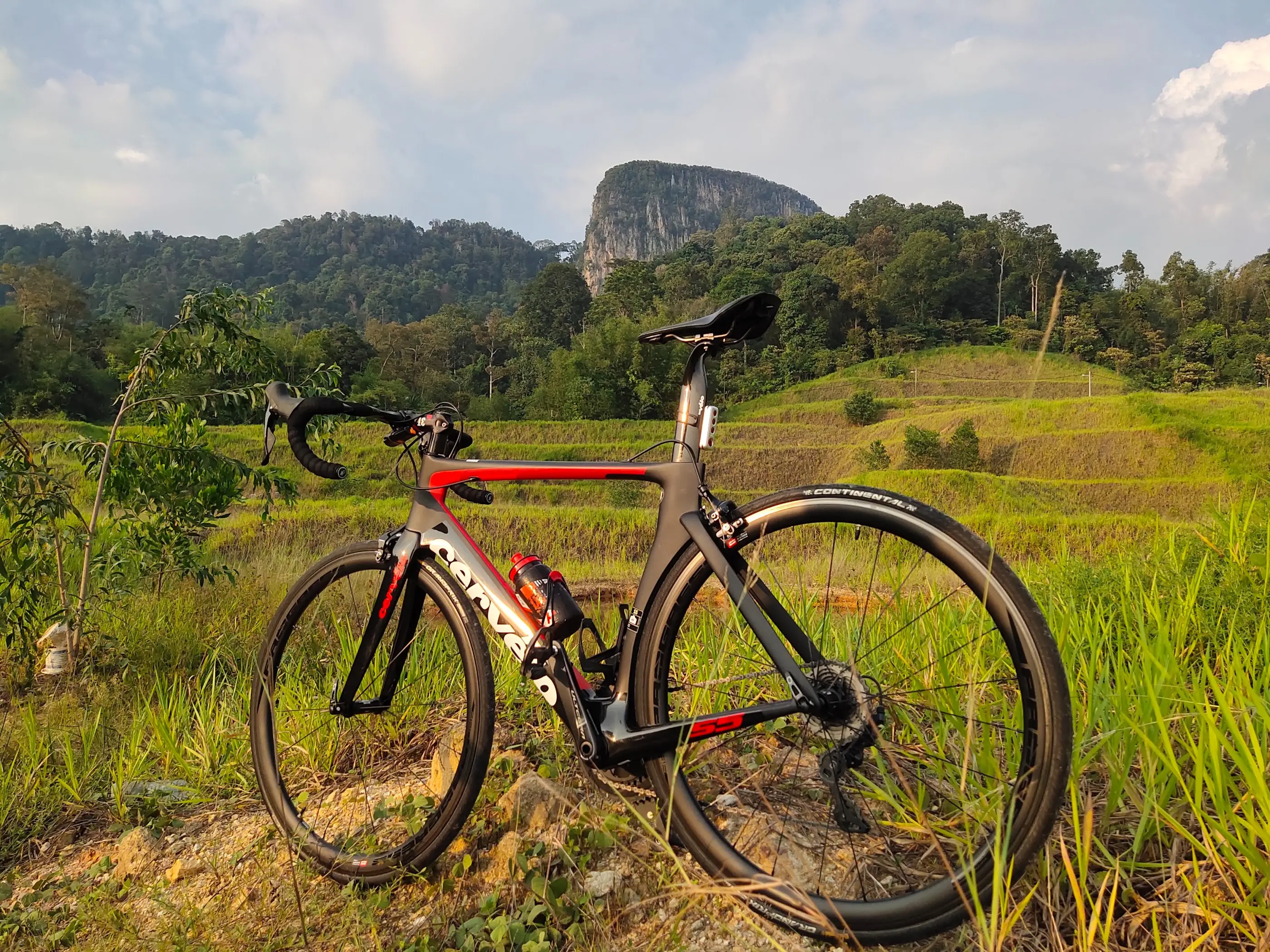 Cervelo S5 in Superb Mint Condition (urgent sales)
