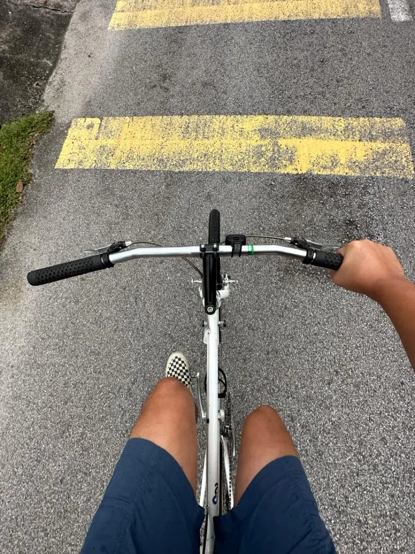 Panasonic B-OCS1 Randonneur Bike (Made In Japan)