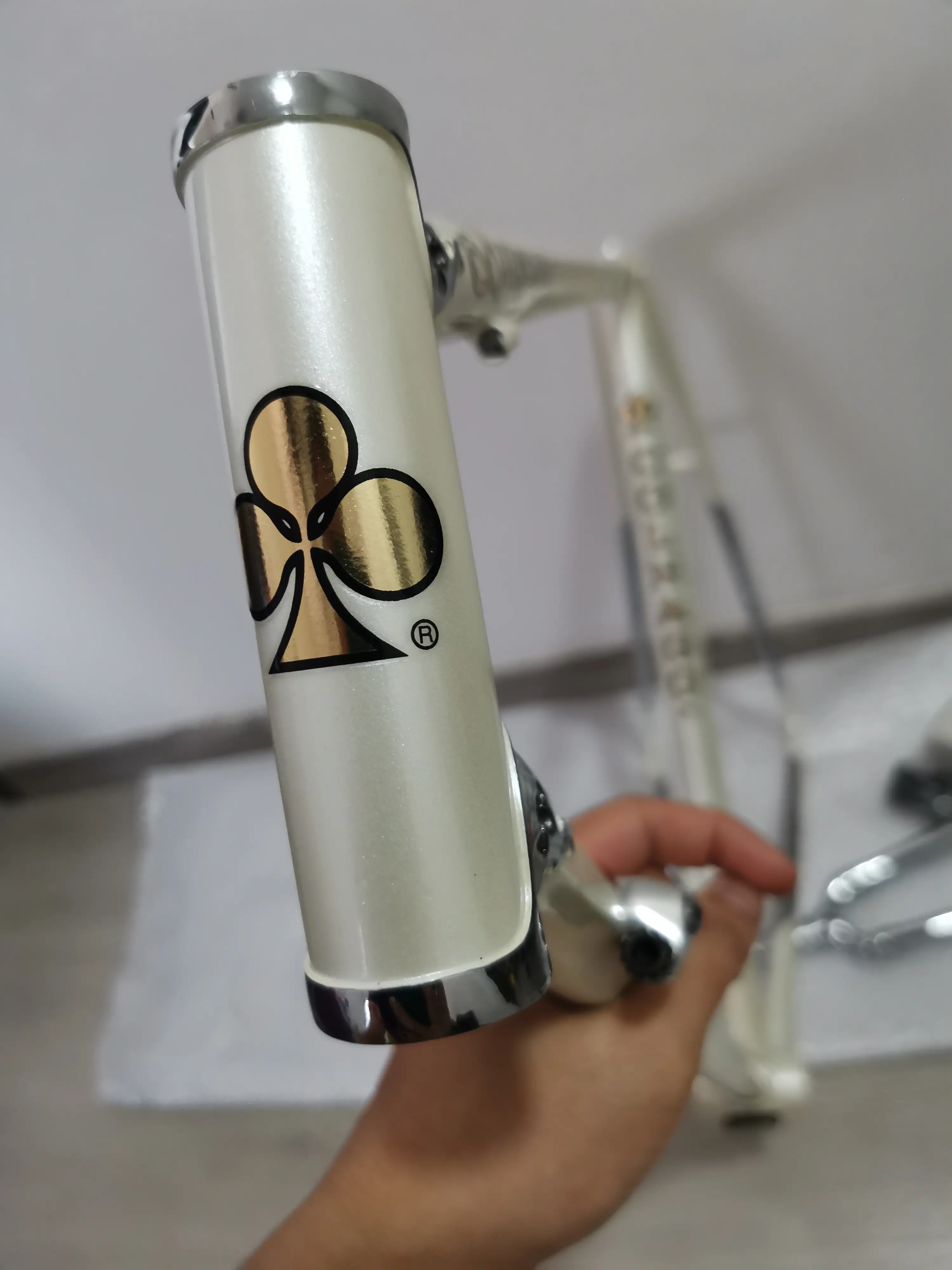Colnago Arabesque (RAWB) 55cm (Brand New !!)