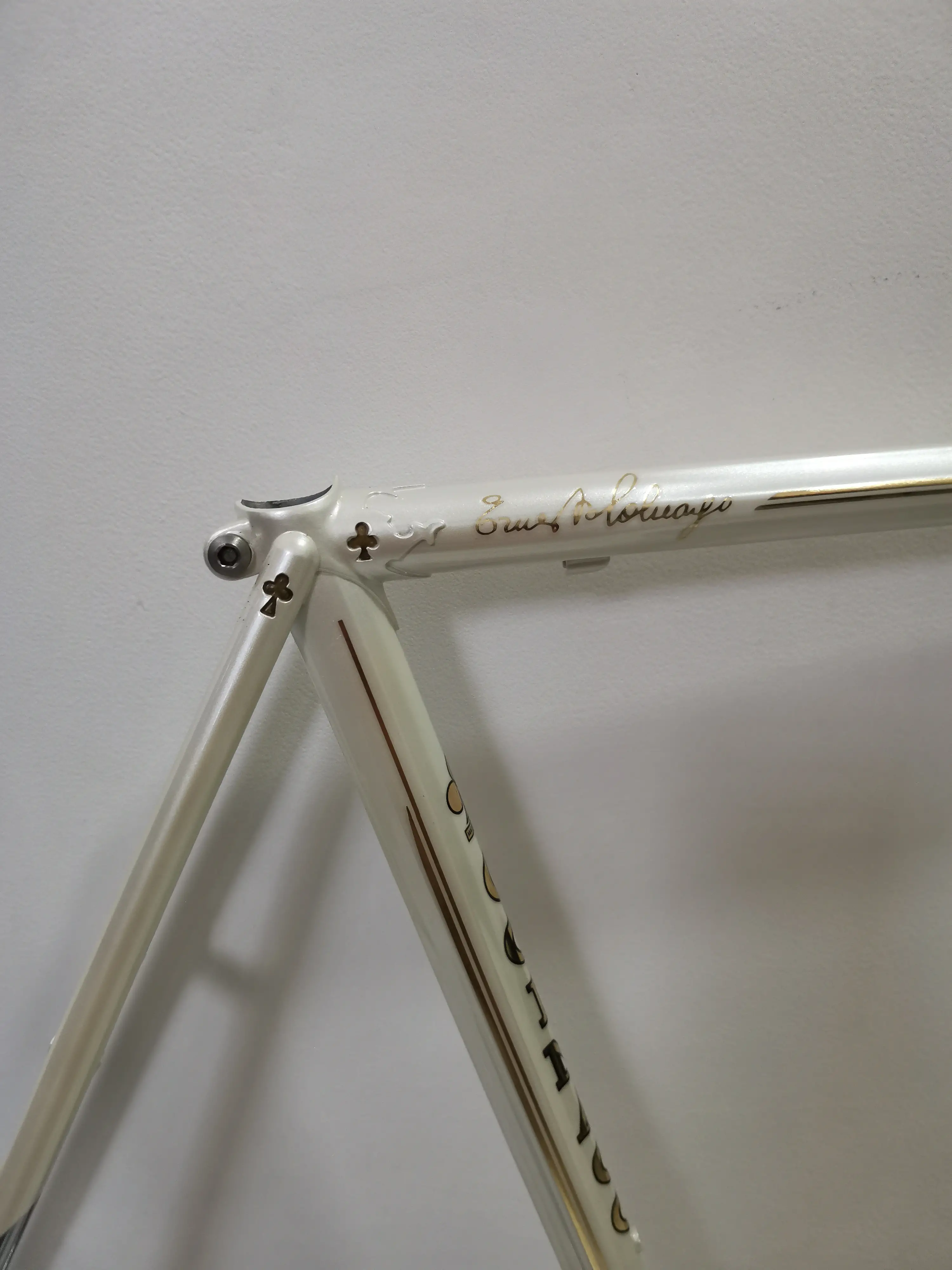 Colnago Arabesque (RAWB) 55cm (Brand New !!)
