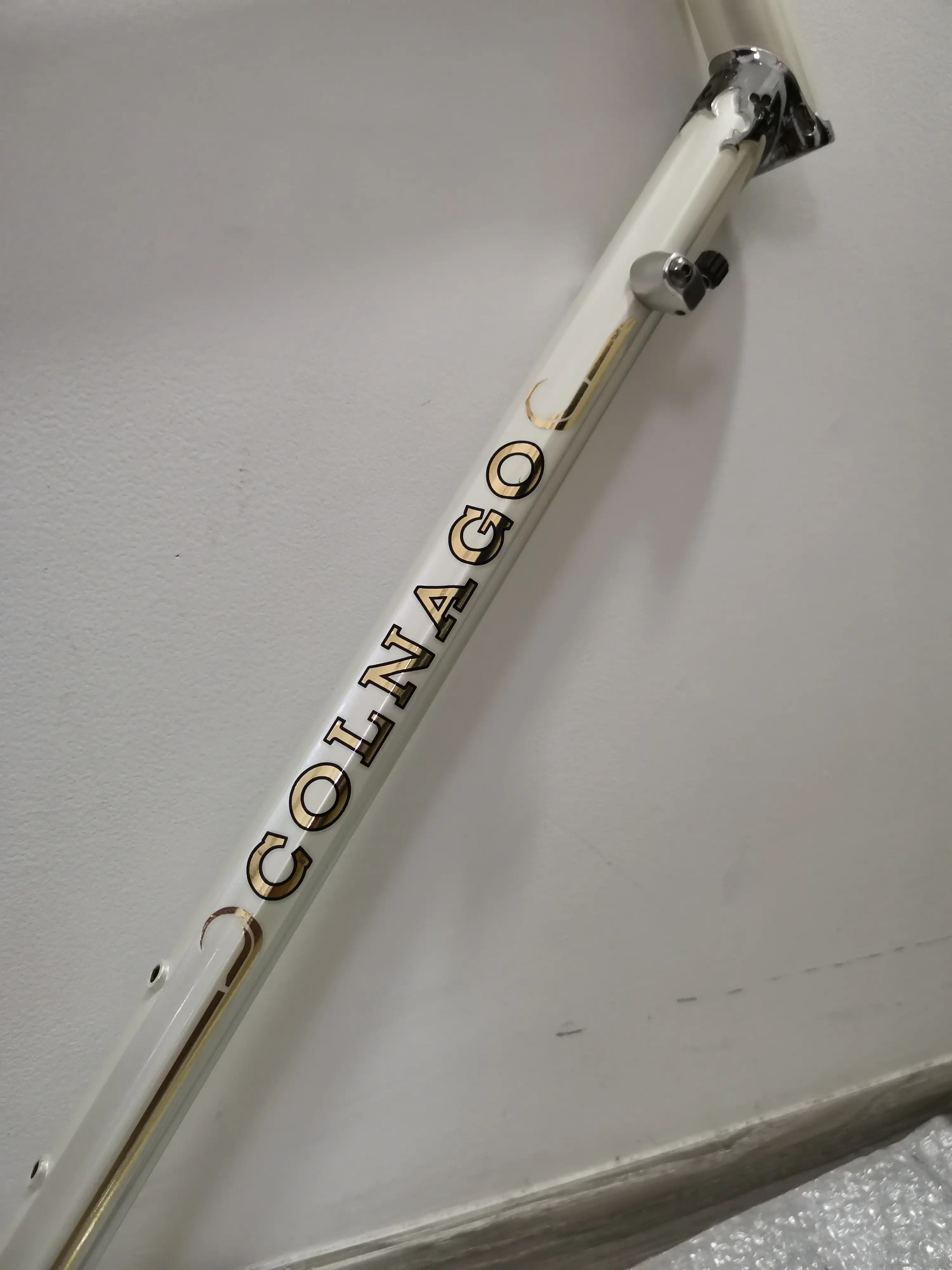 Colnago Arabesque (RAWB) 55cm (Brand New !!)