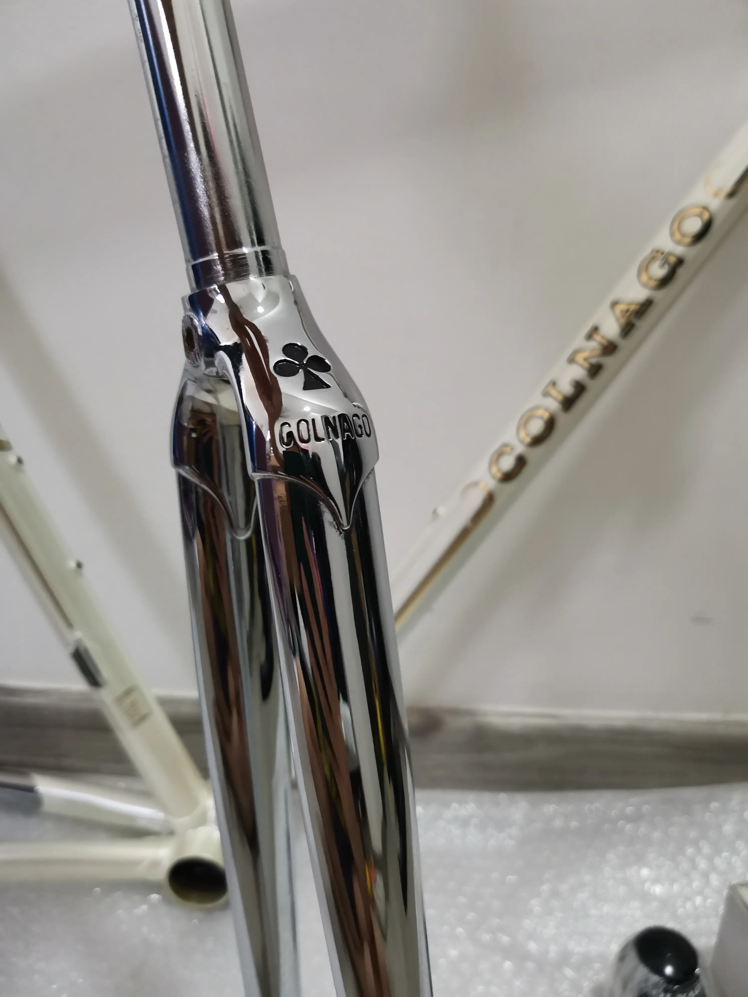 Colnago Arabesque (RAWB) 55cm (Brand New !!)