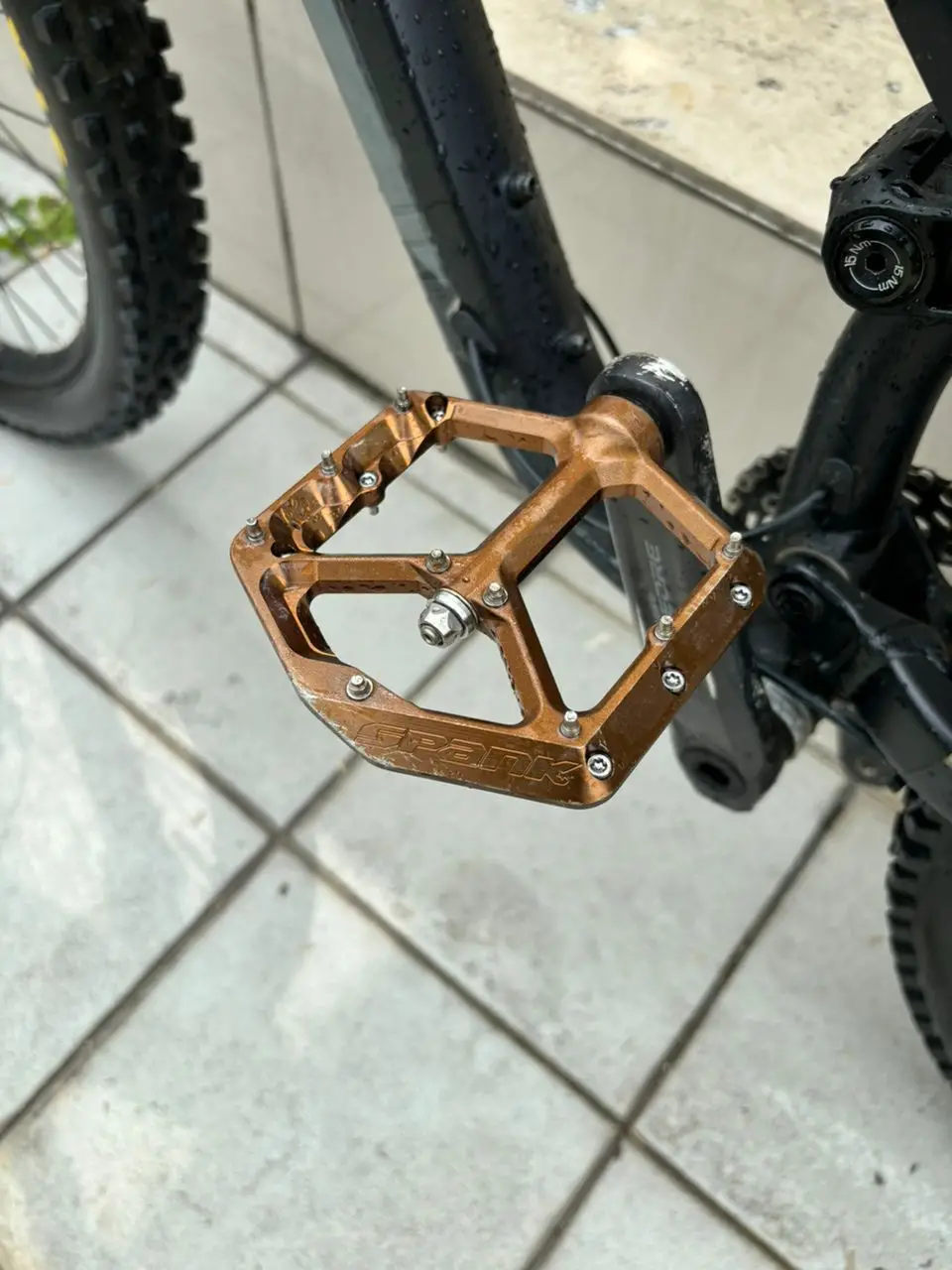 Polygon D7 29’ Size L