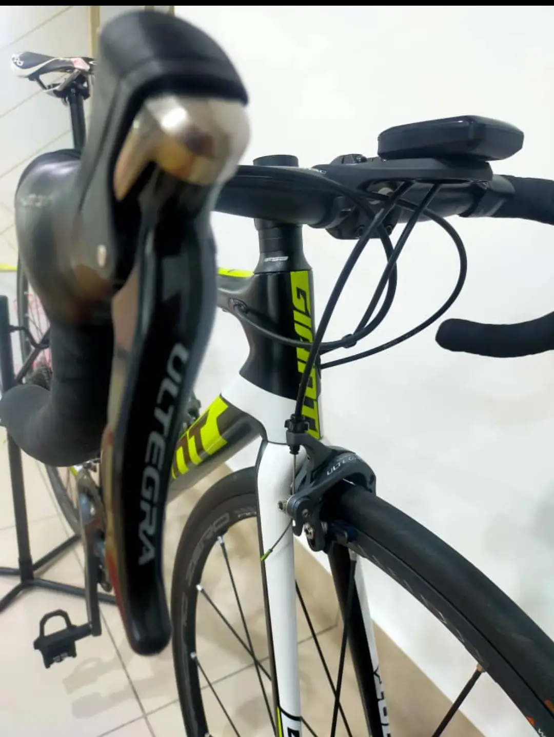 RB Giant TCR 1