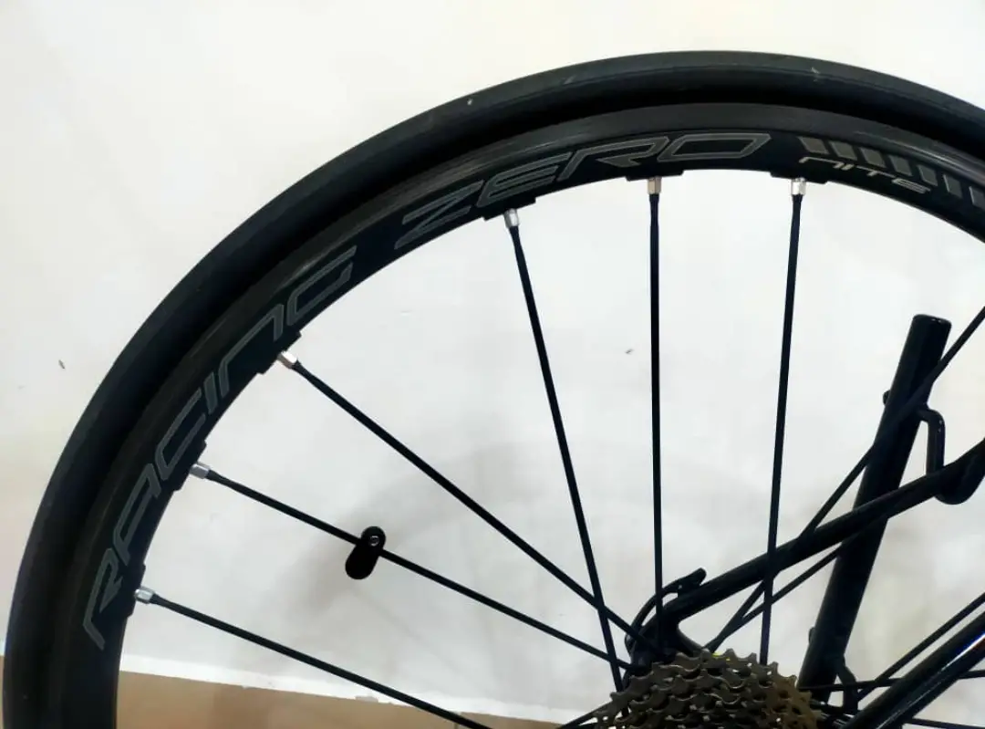 RB Giant TCR 1