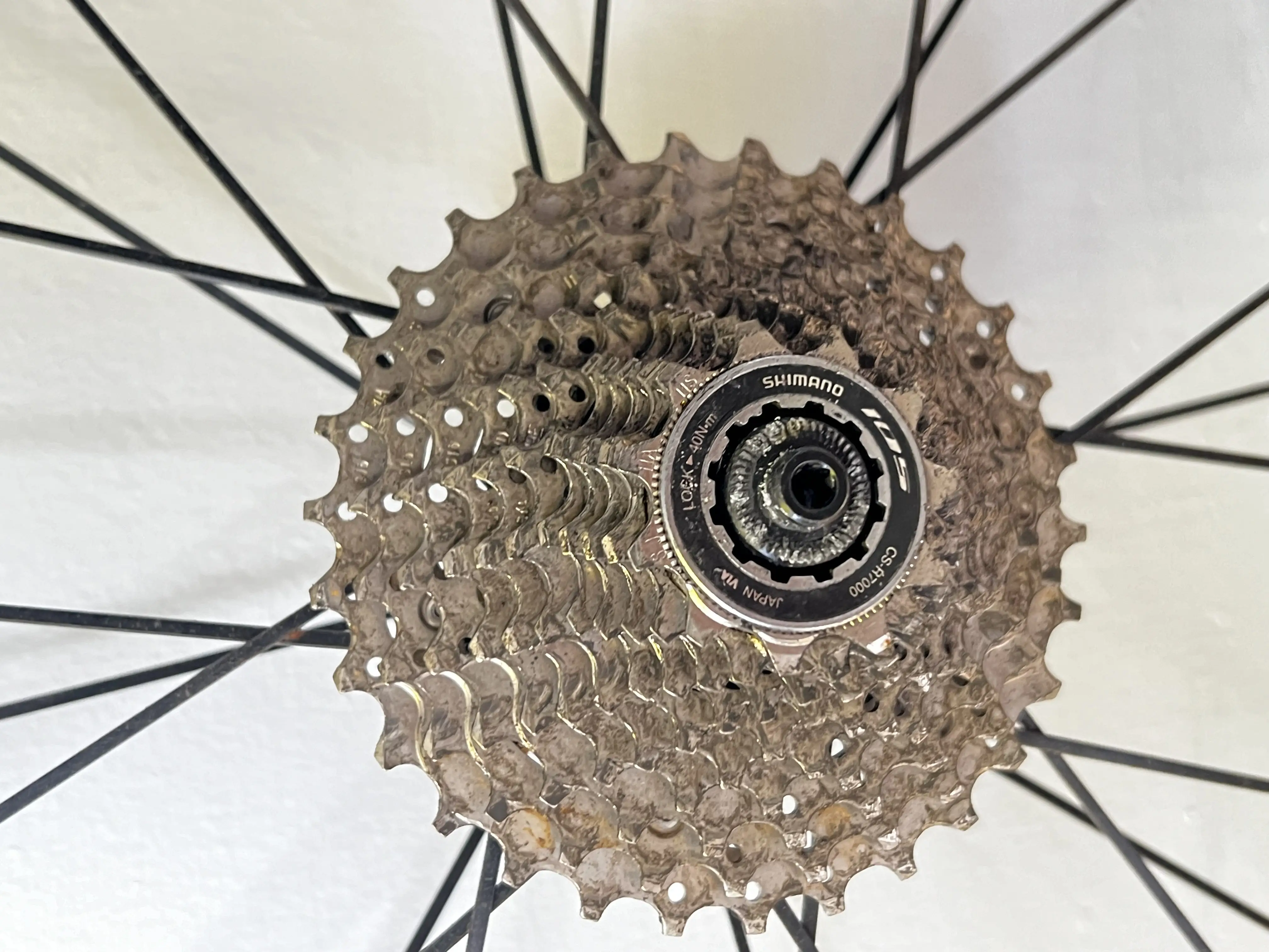 Look 675 Frame (Original)